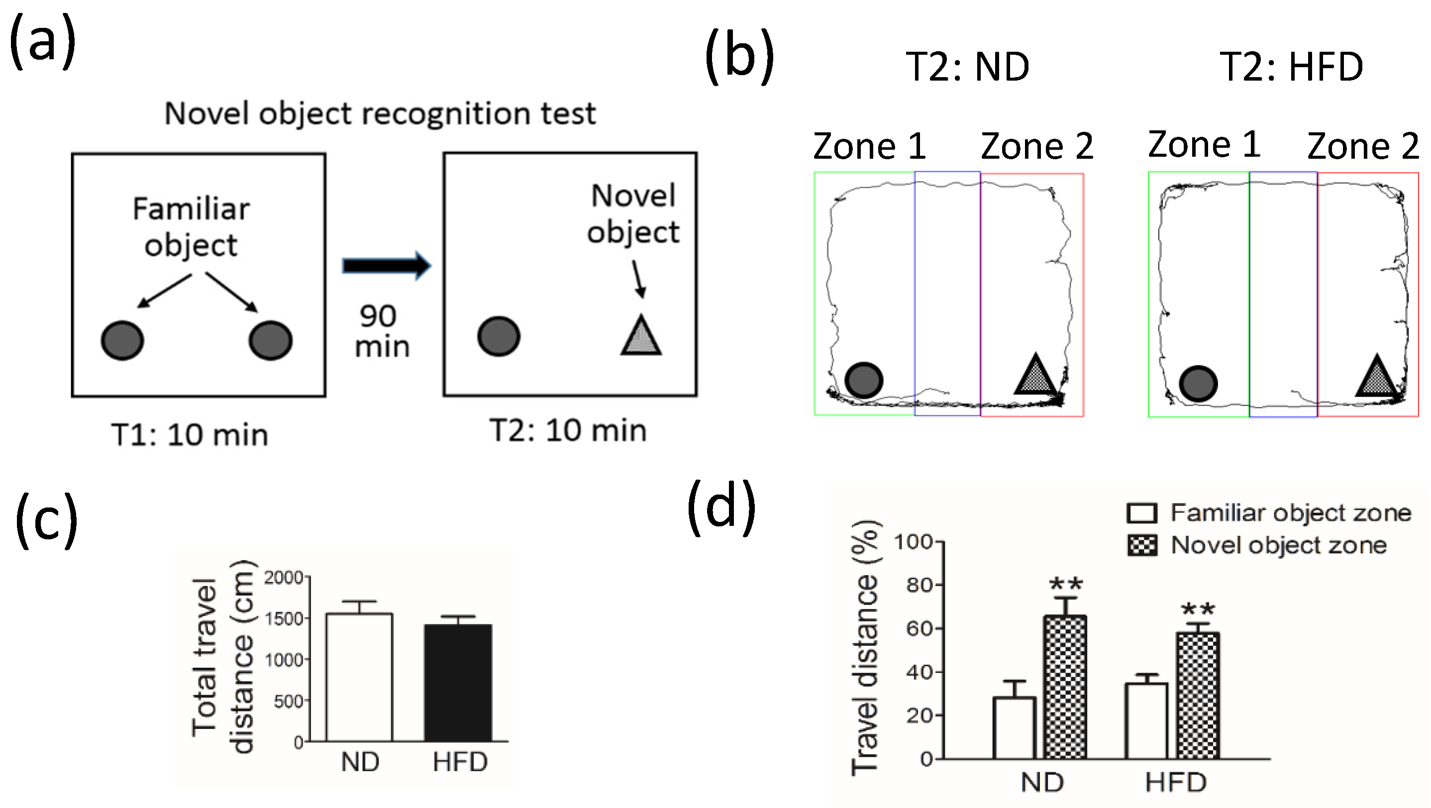 Cells 11 00295 g003 550