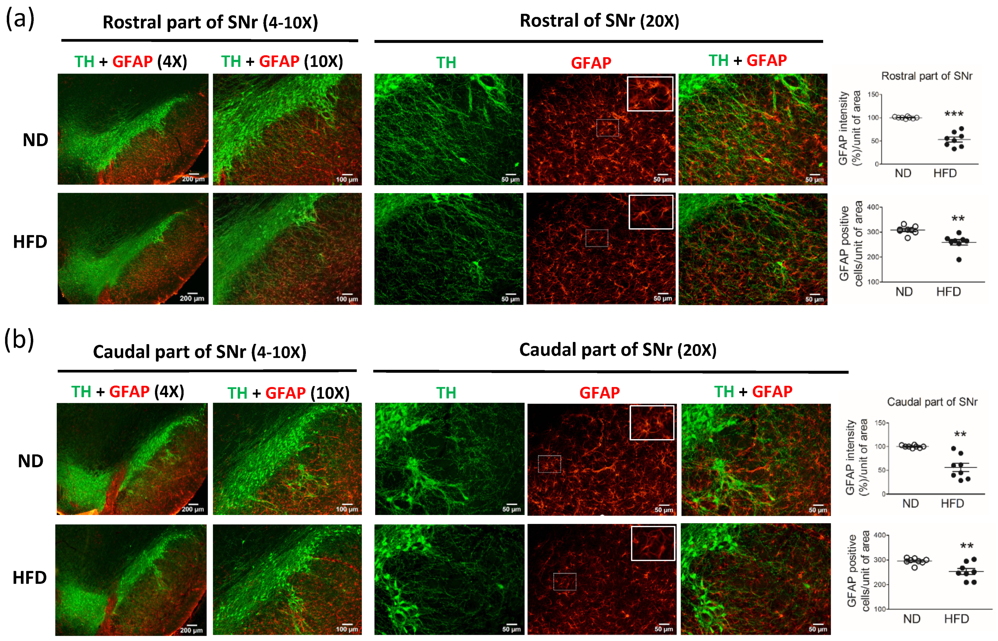 Cells 11 00295 g005 550