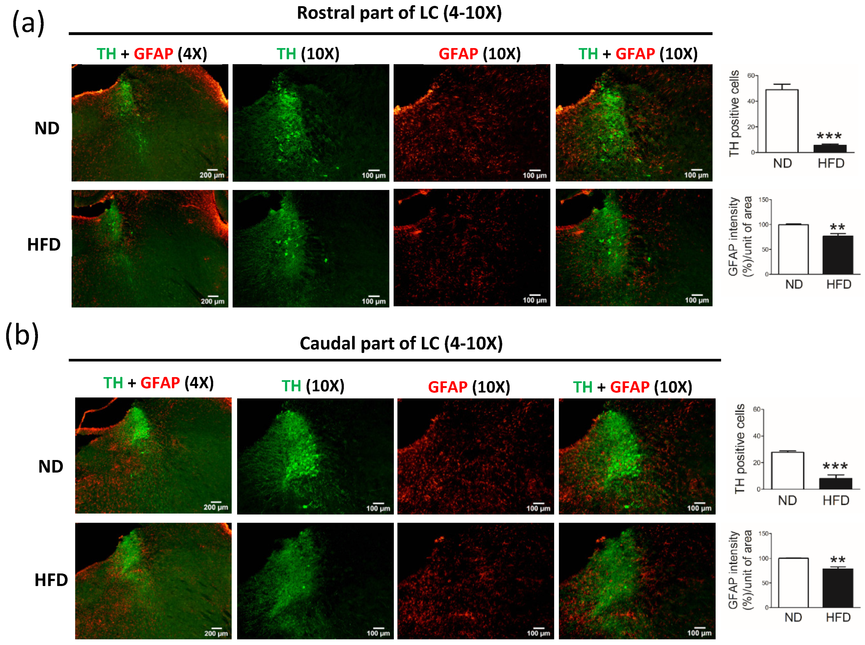 Cells 11 00295 g006 550