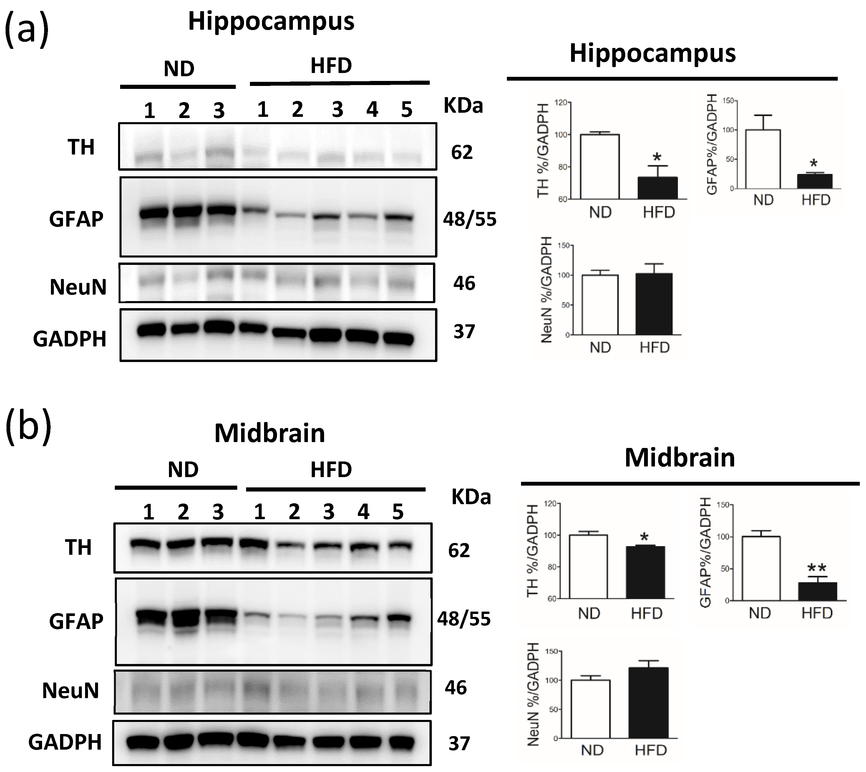 Cells 11 00295 g008 550