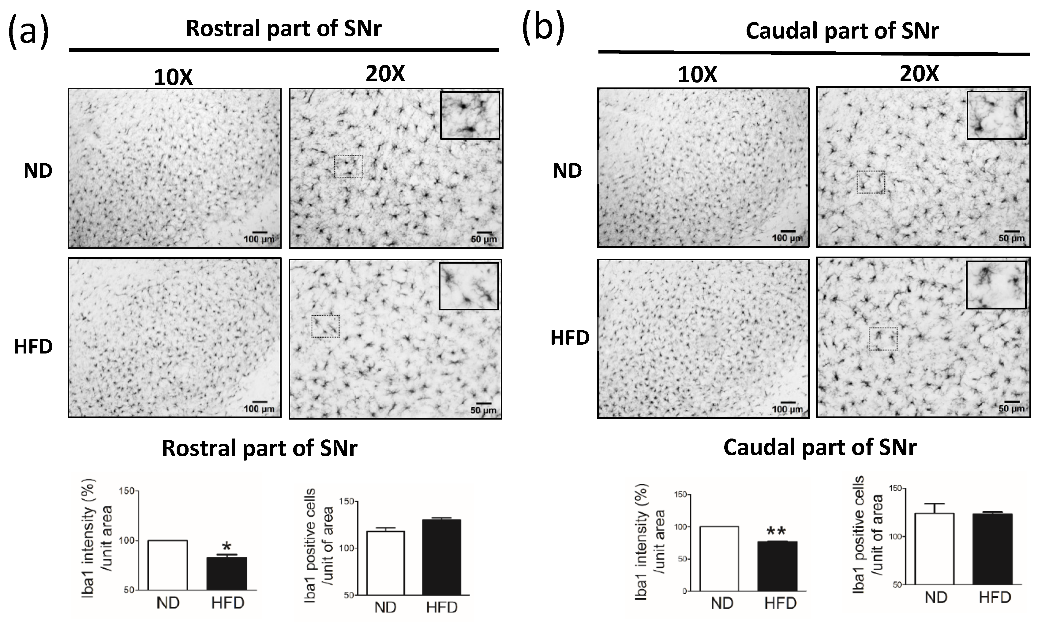 Cells 11 00295 g009 550