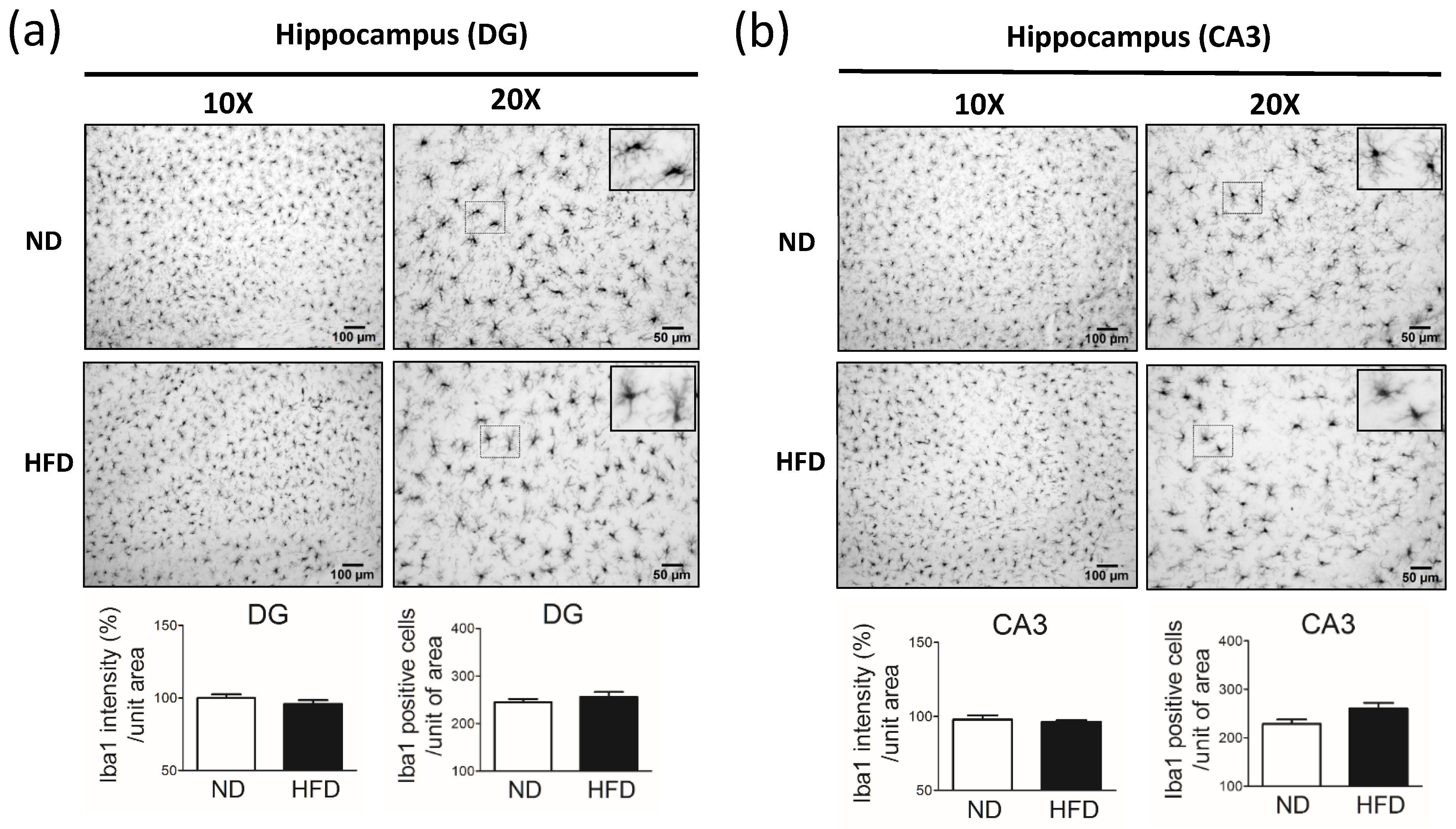 Cells 11 00295 g010 550