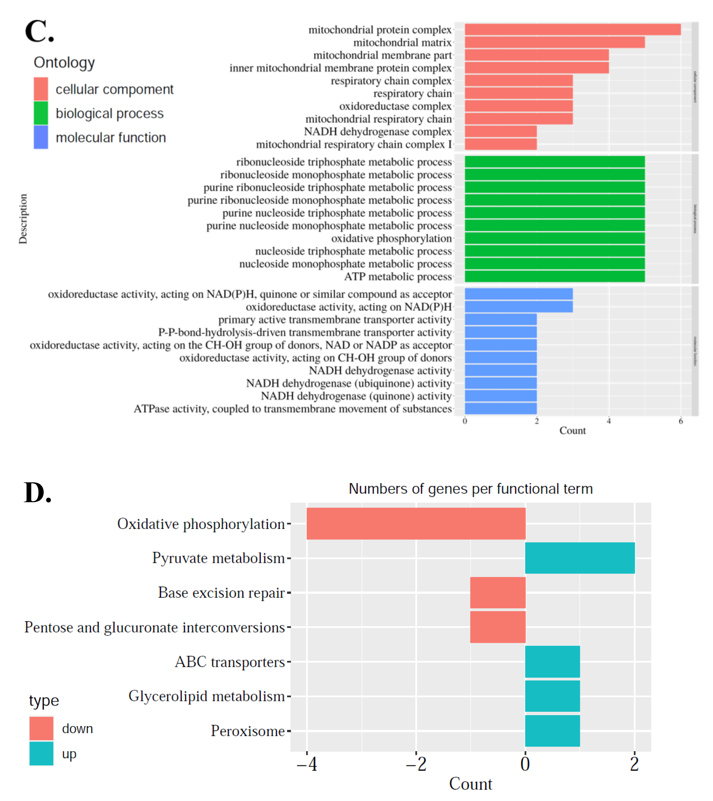 Cells 11 00297 g003b 550
