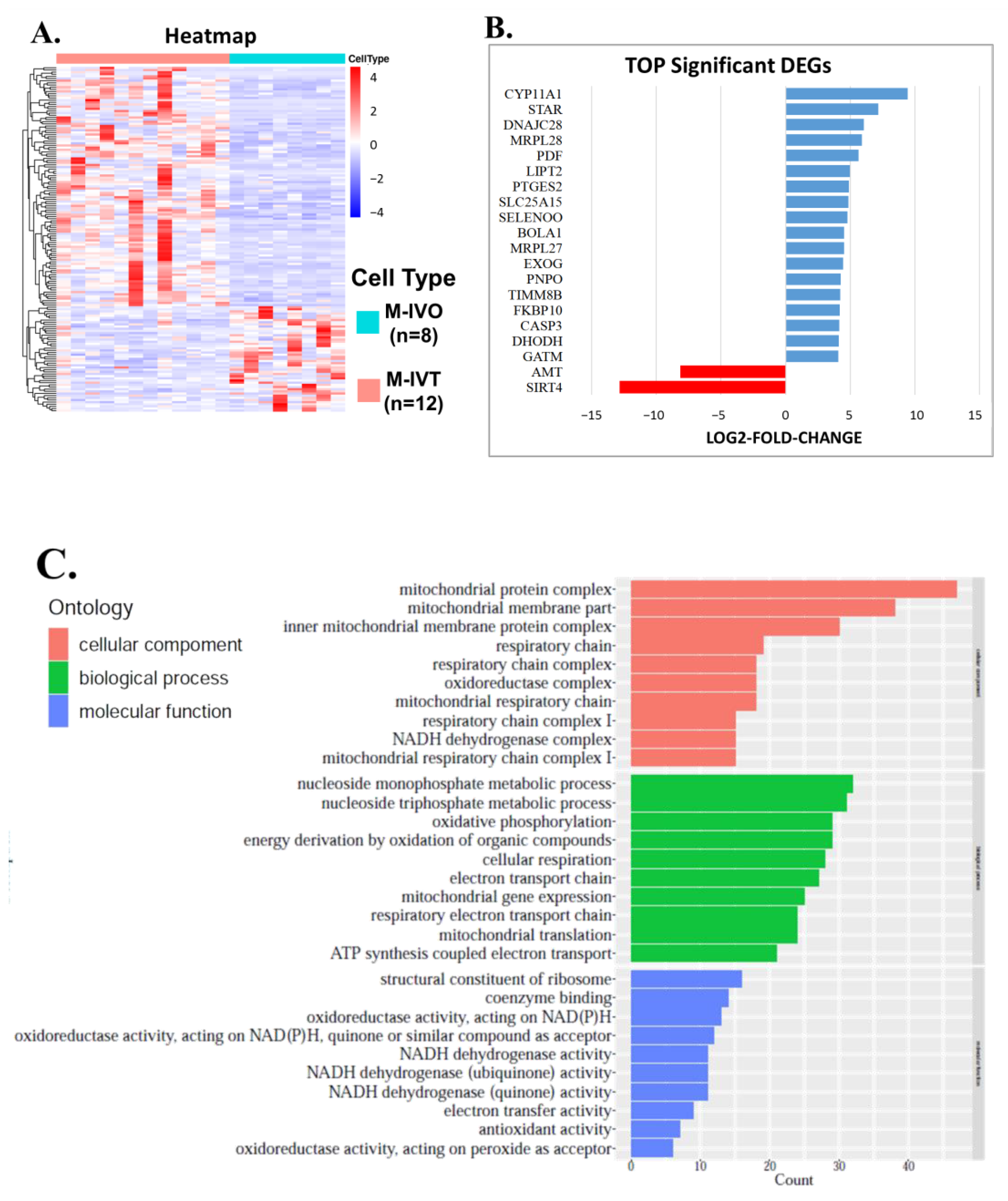 Cells 11 00297 g004a 550
