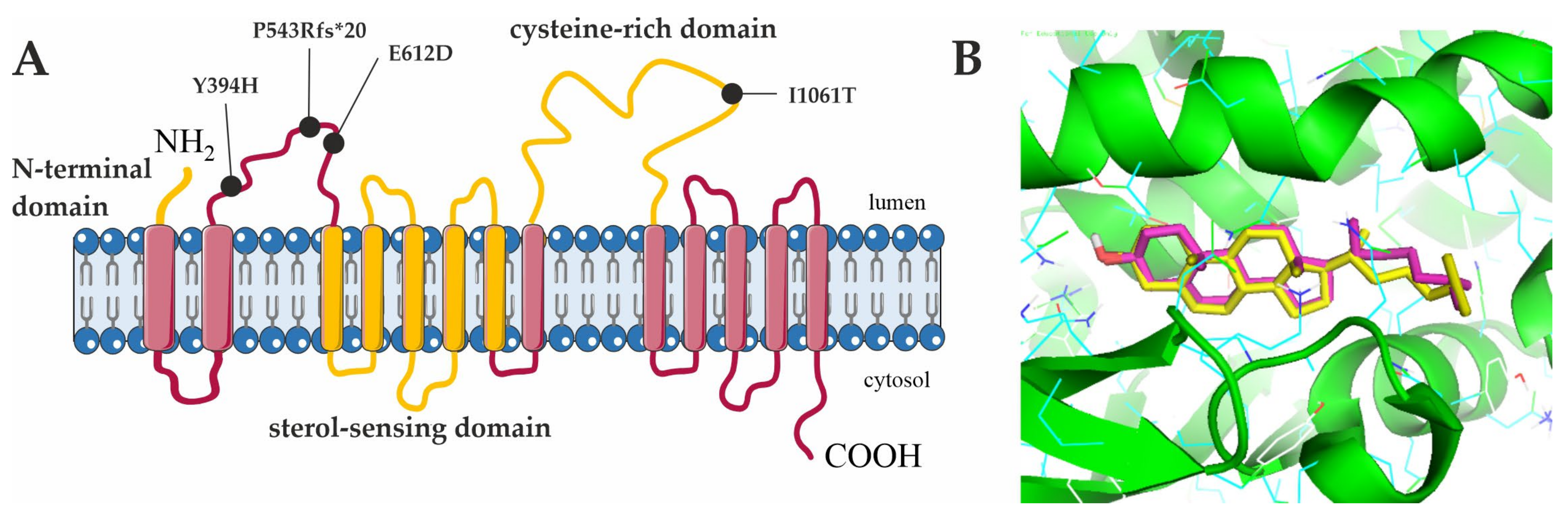 Niemann-Pick disease type-B: a unique case report with compound