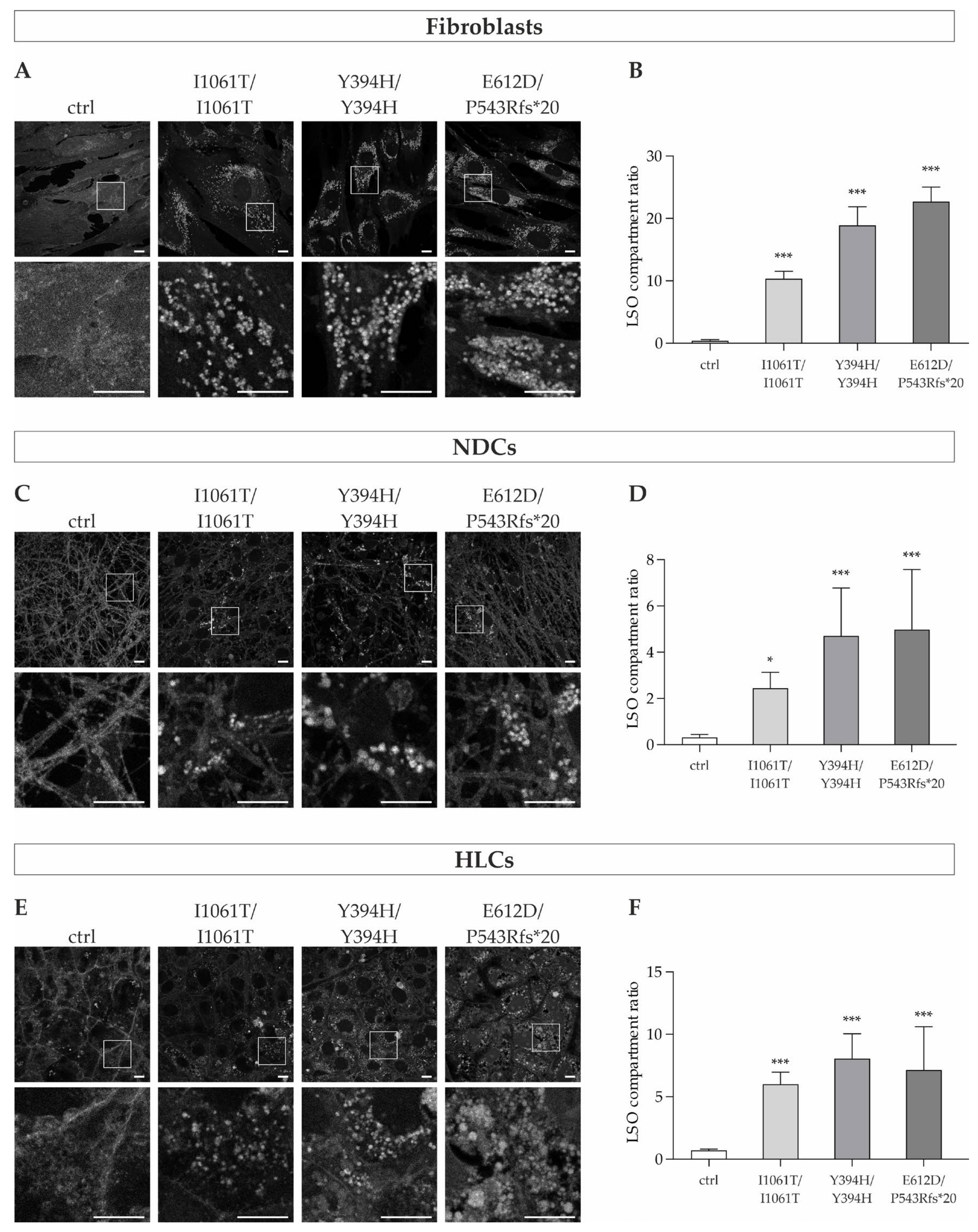 Cells 11 00319 g002 Cells 11 00319 g002