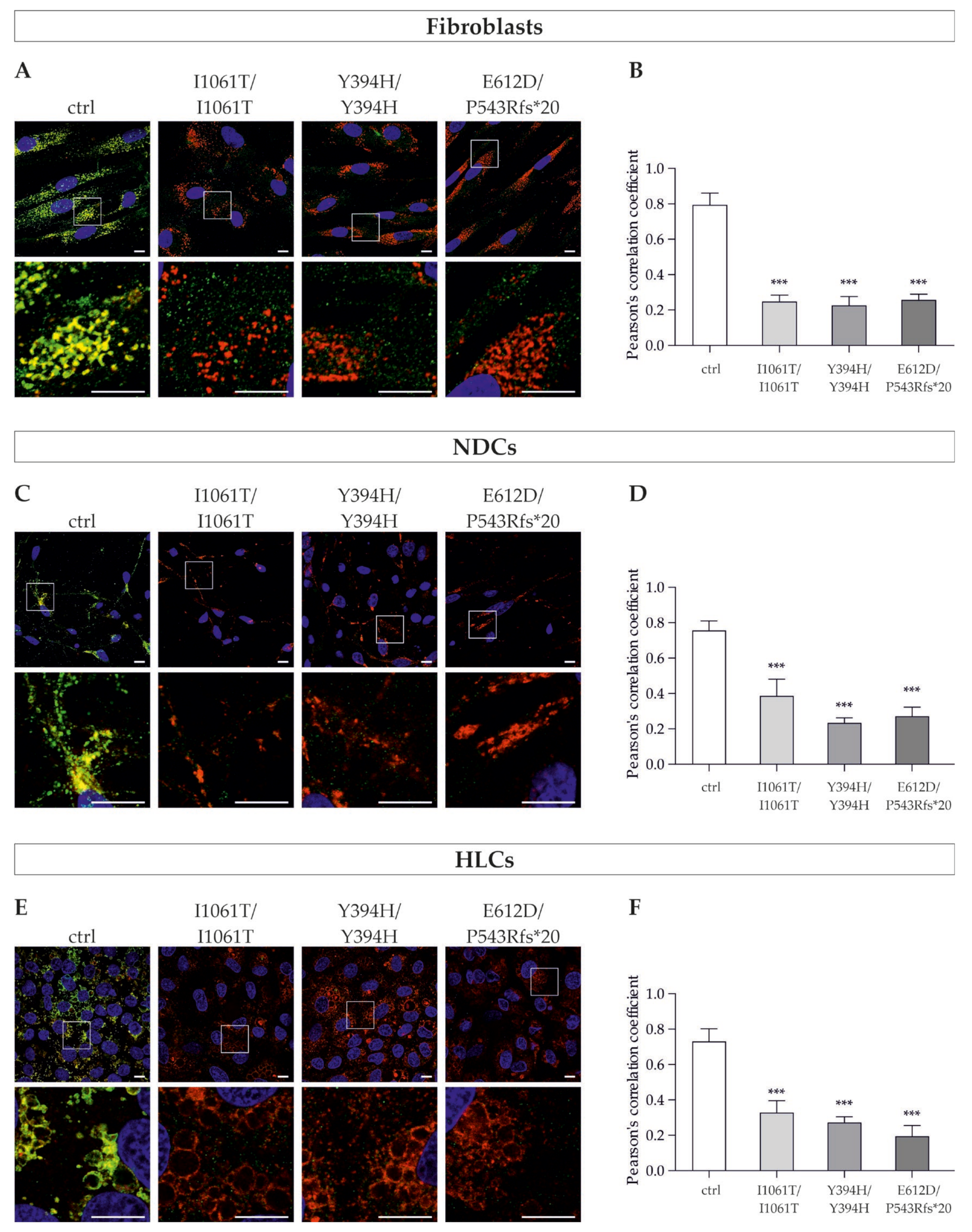 Cells 11 00319 g005 Cells 11 00319 g005