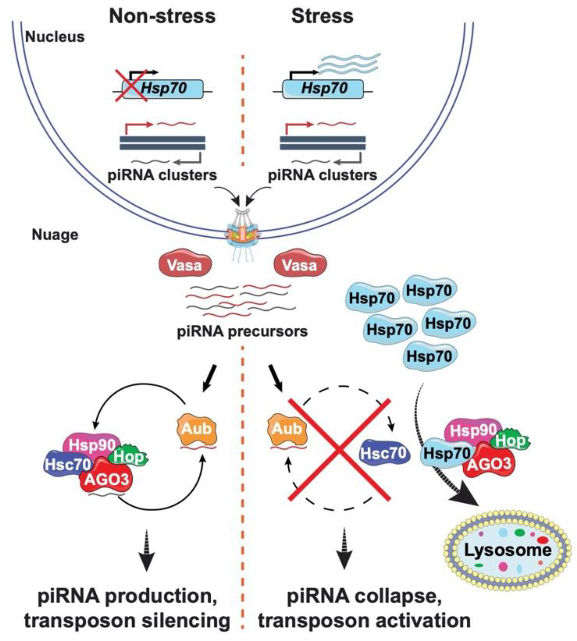 Cells 11 00330 g002 Cells 11 00330 g002