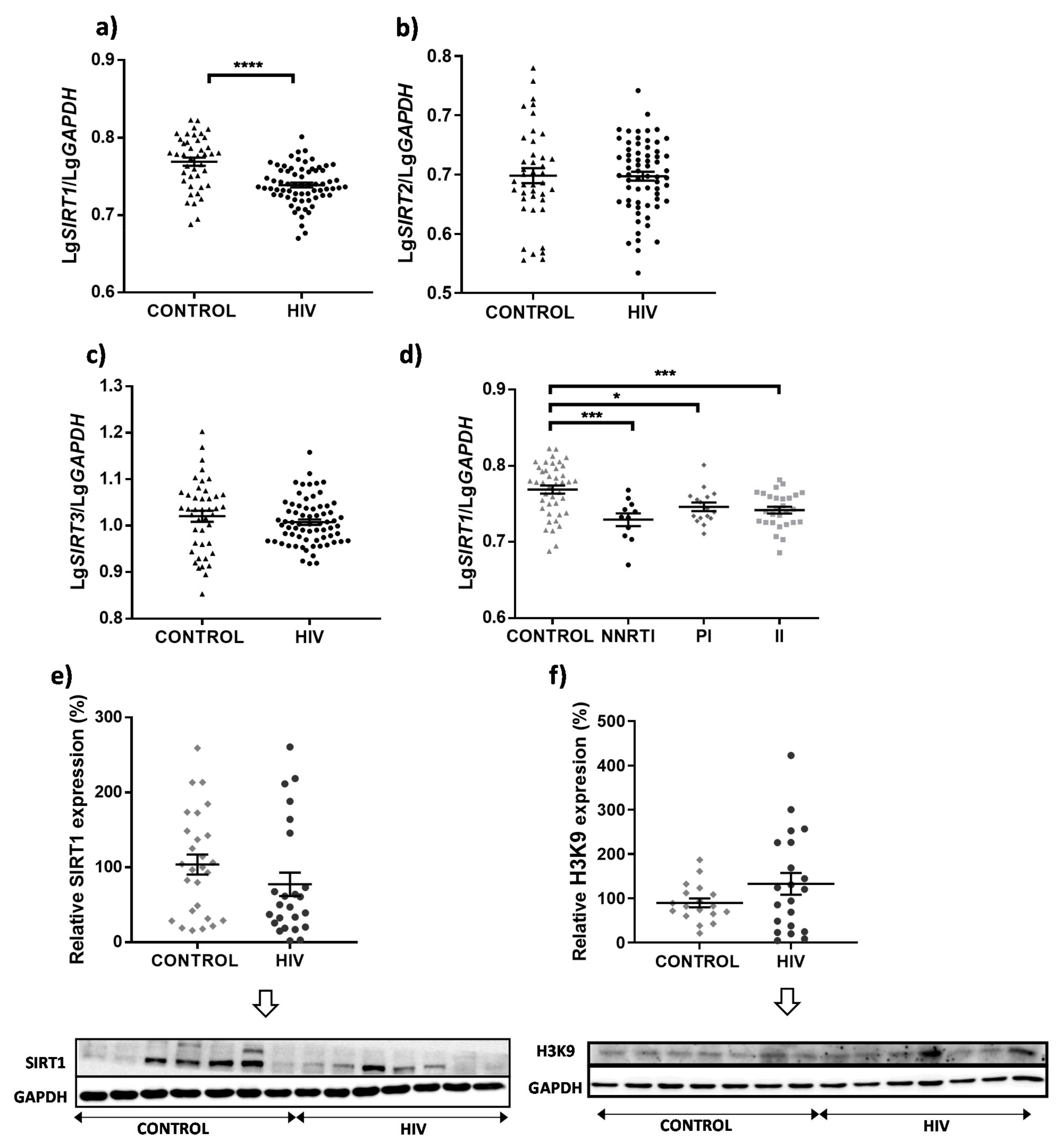 Cells 11 00348 g001 550