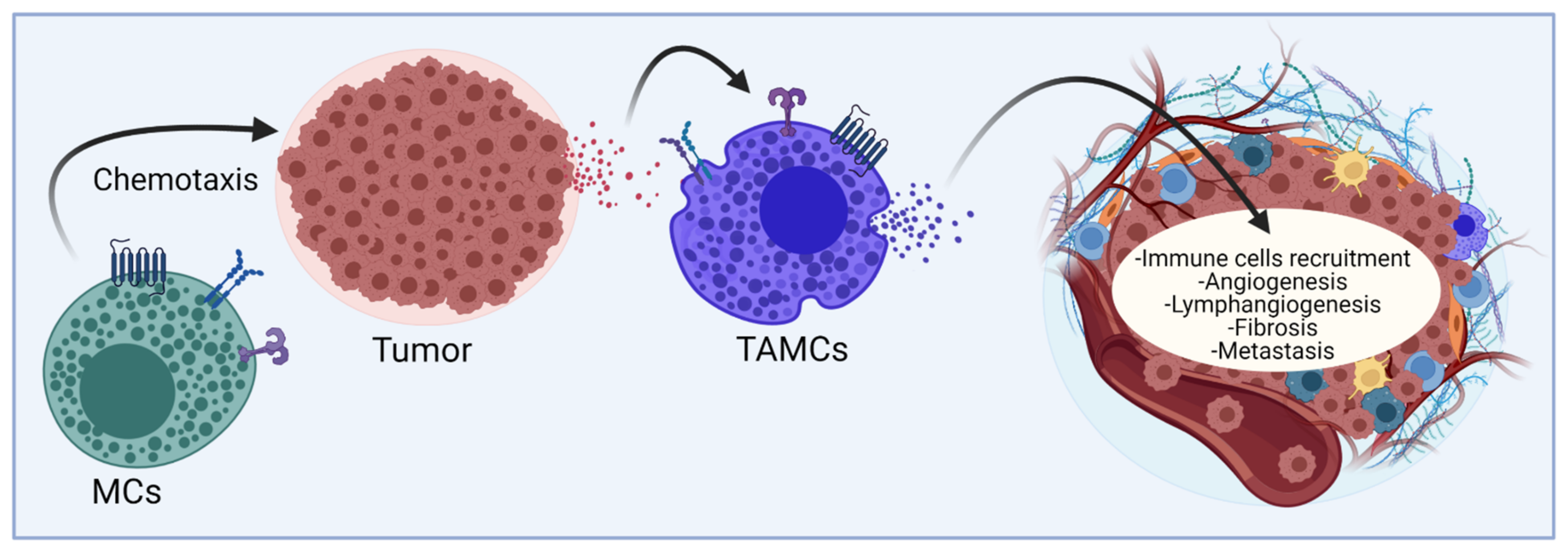 Cells 11 00349 g001 Cells 11 00349 g001