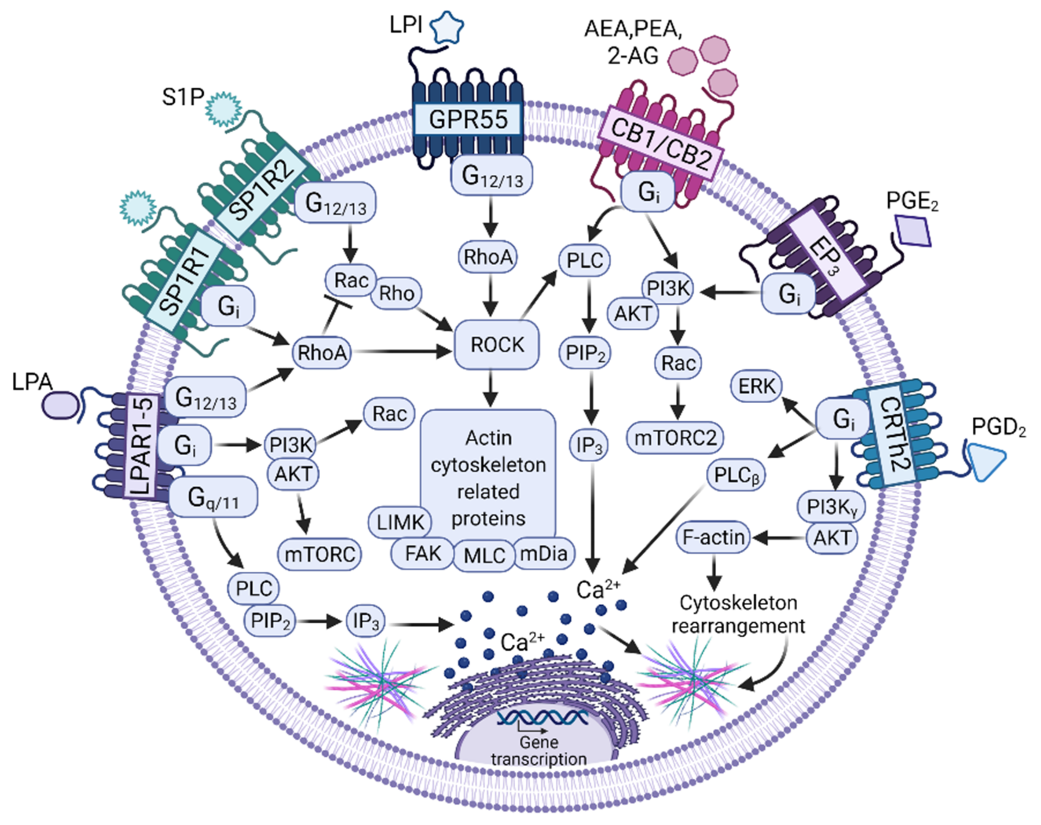 Cells 11 00349 g002 Cells 11 00349 g002