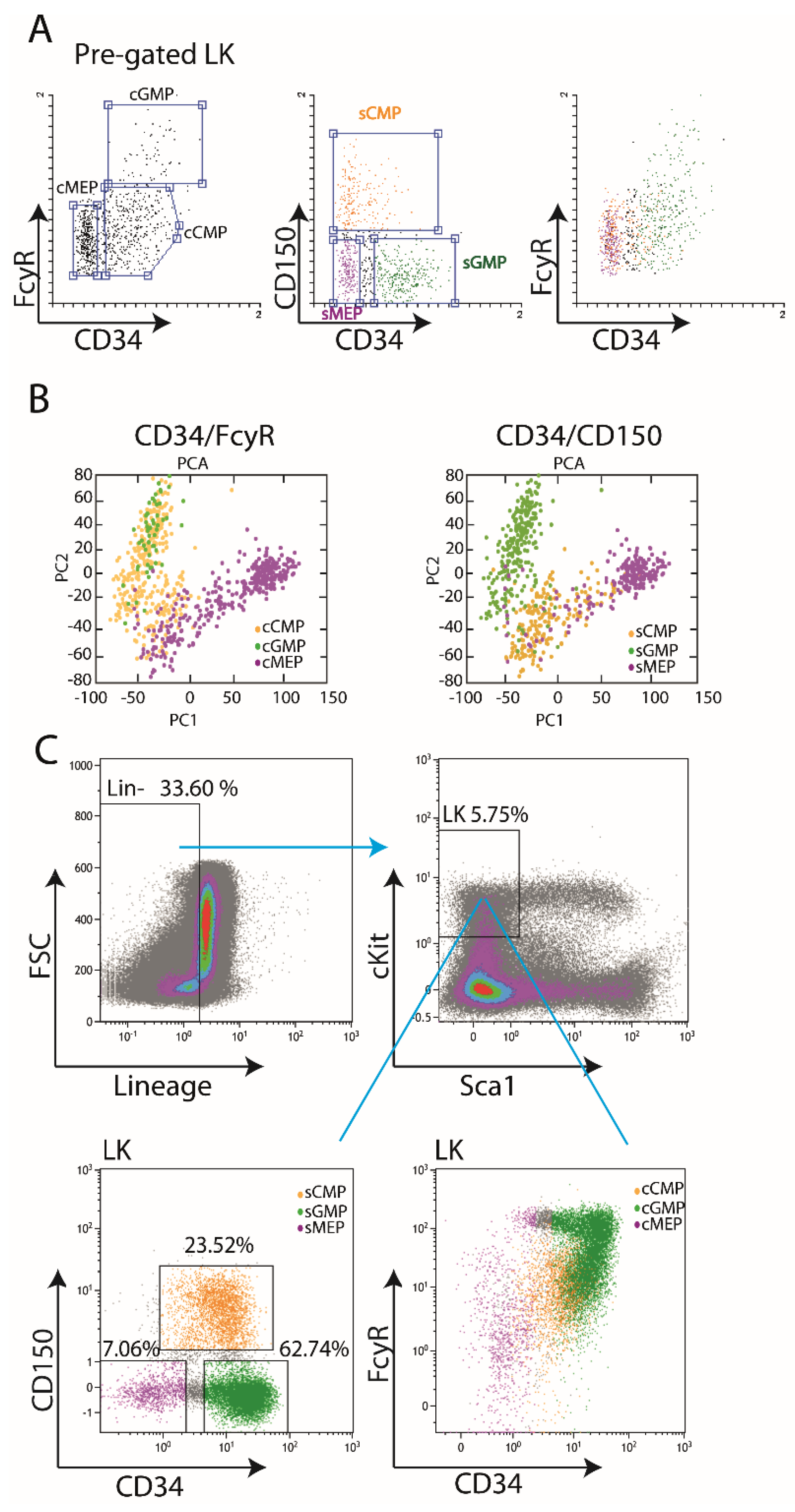 Cells 11 00350 g001 Cells 11 00350 g001