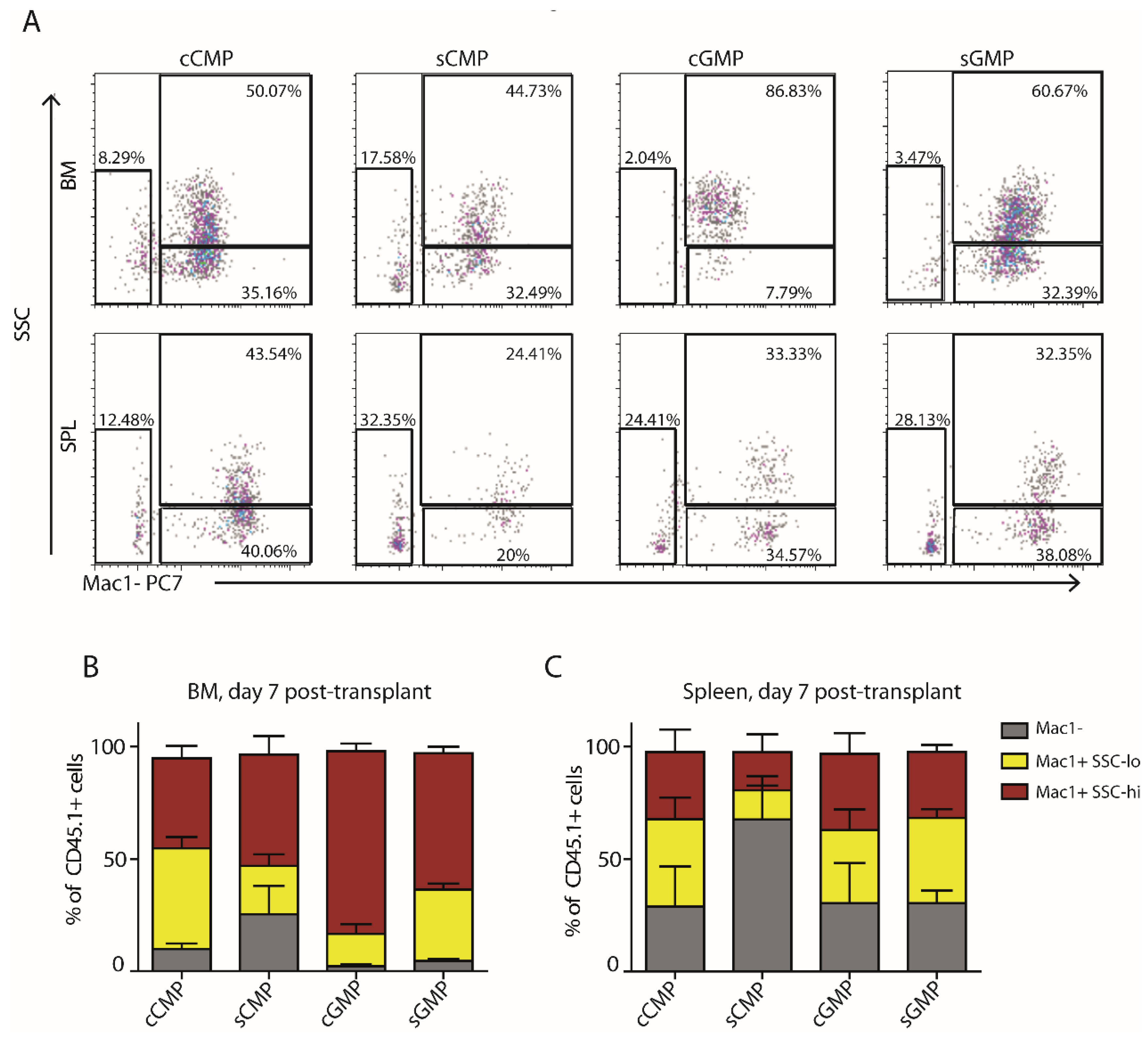 Cells 11 00350 g004 Cells 11 00350 g004
