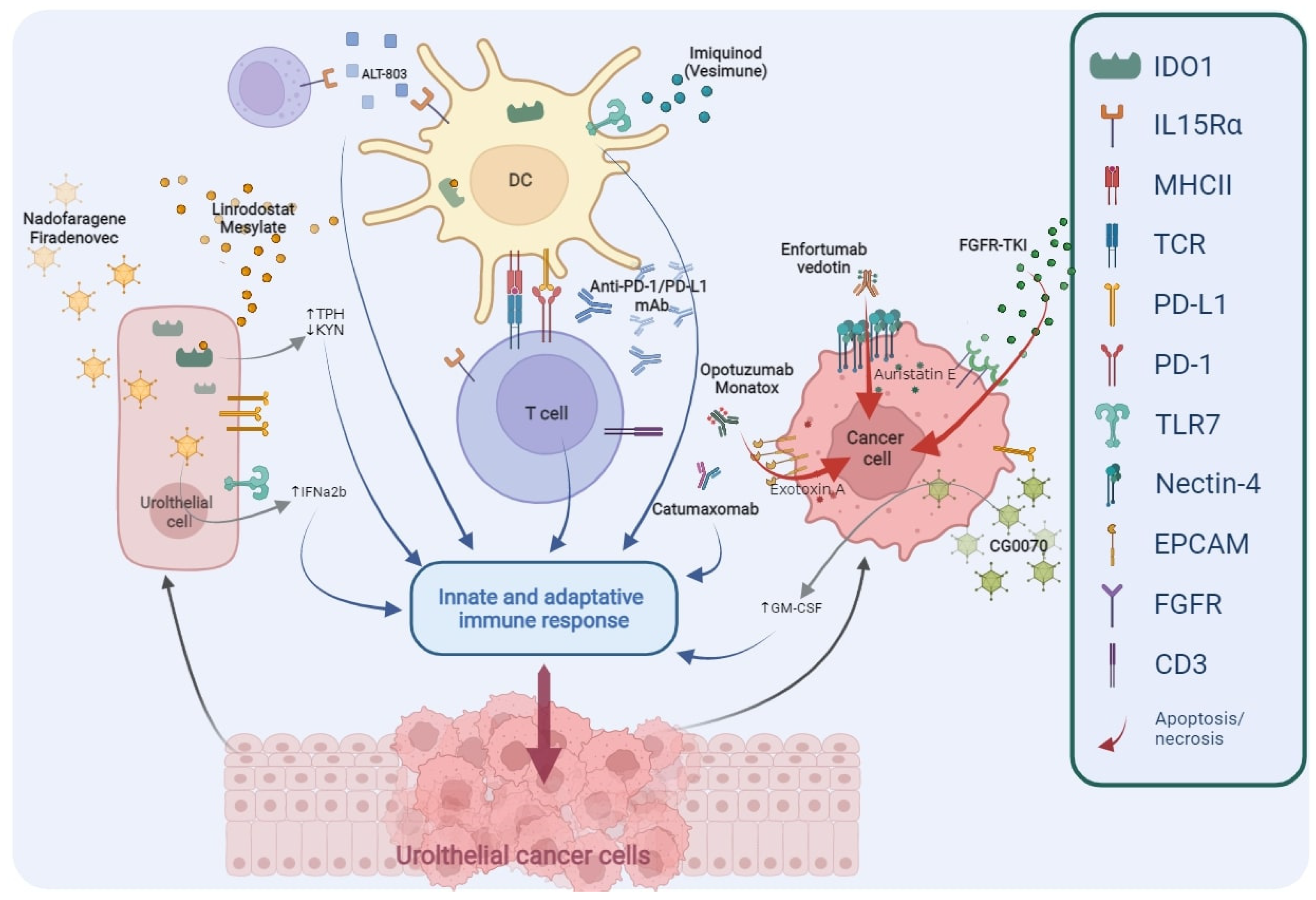 Cells 11 00357 g002 Cells 11 00357 g002