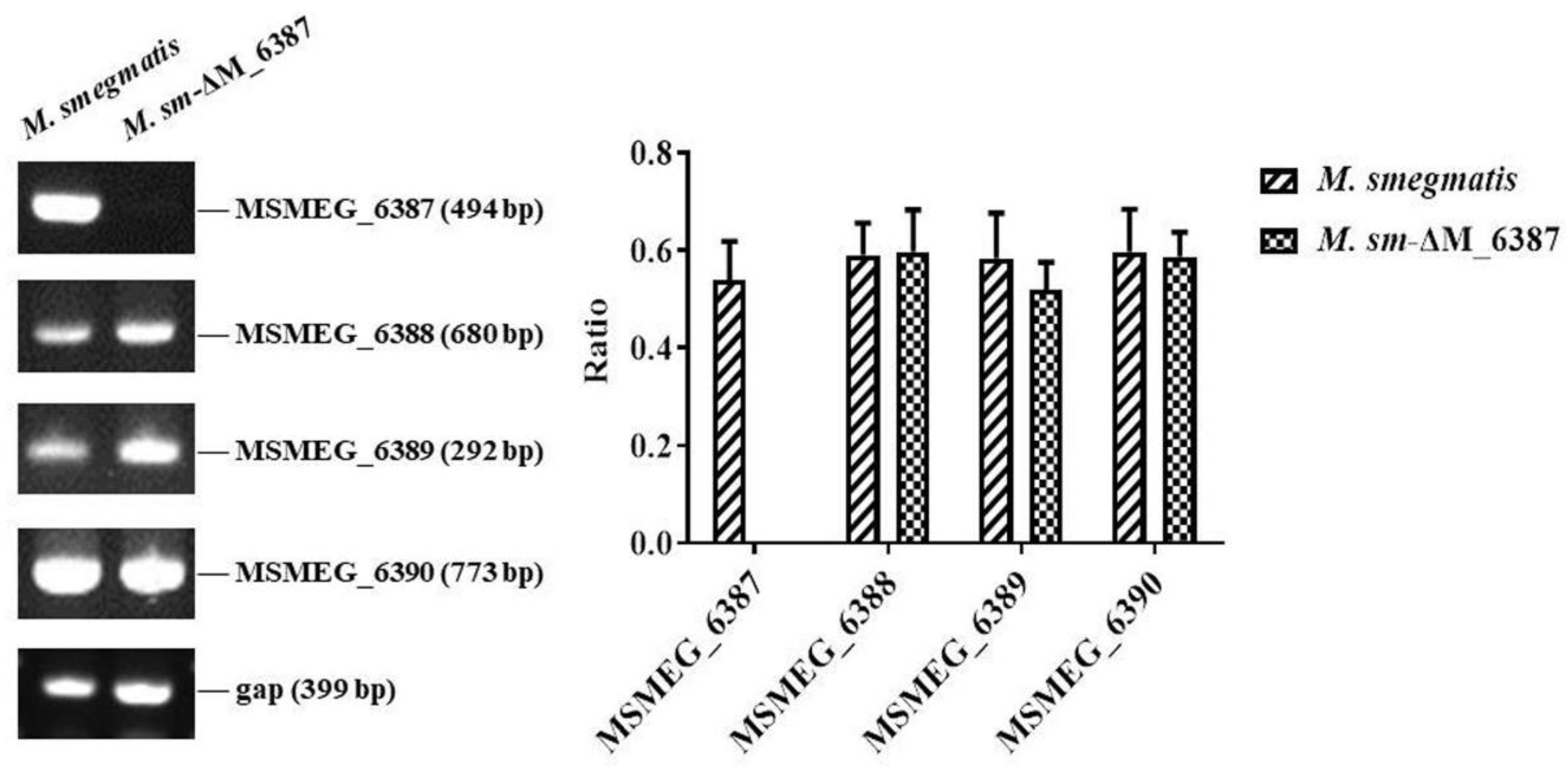 Cells 11 00361 g001 Cells 11 00361 g001