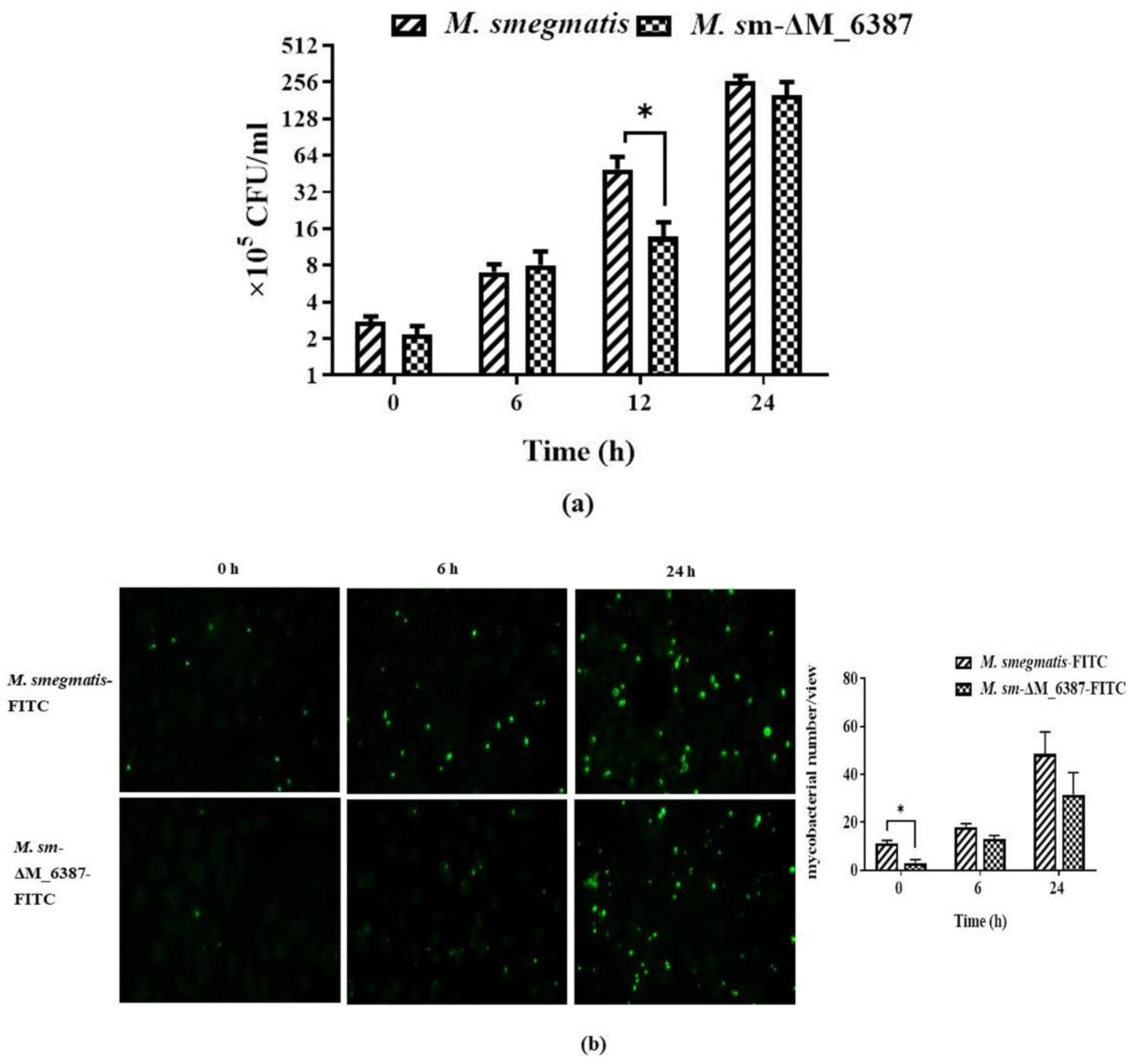 Cells 11 00361 g004a Cells 11 00361 g004a