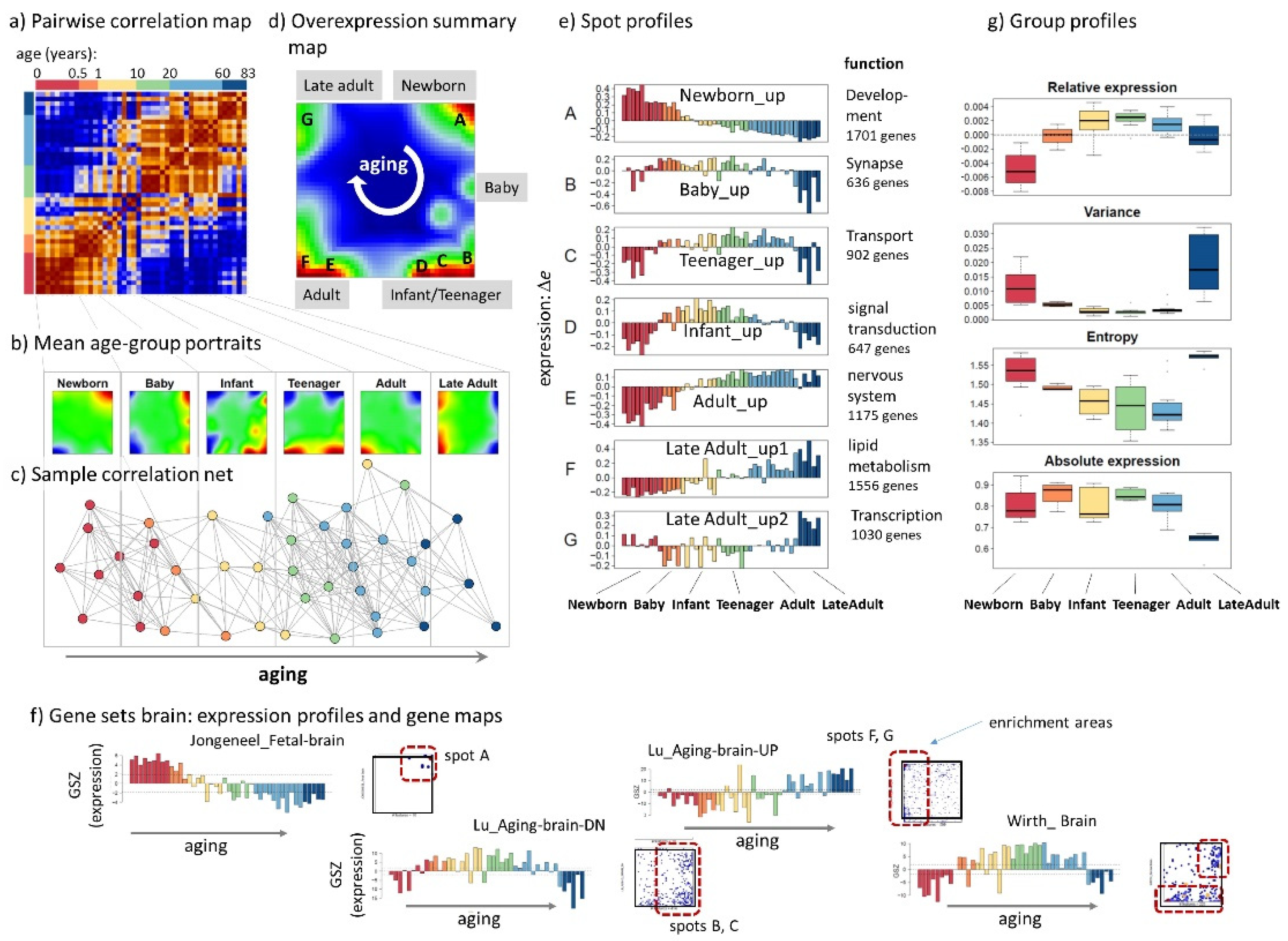 Cells 11 00362 g002 550