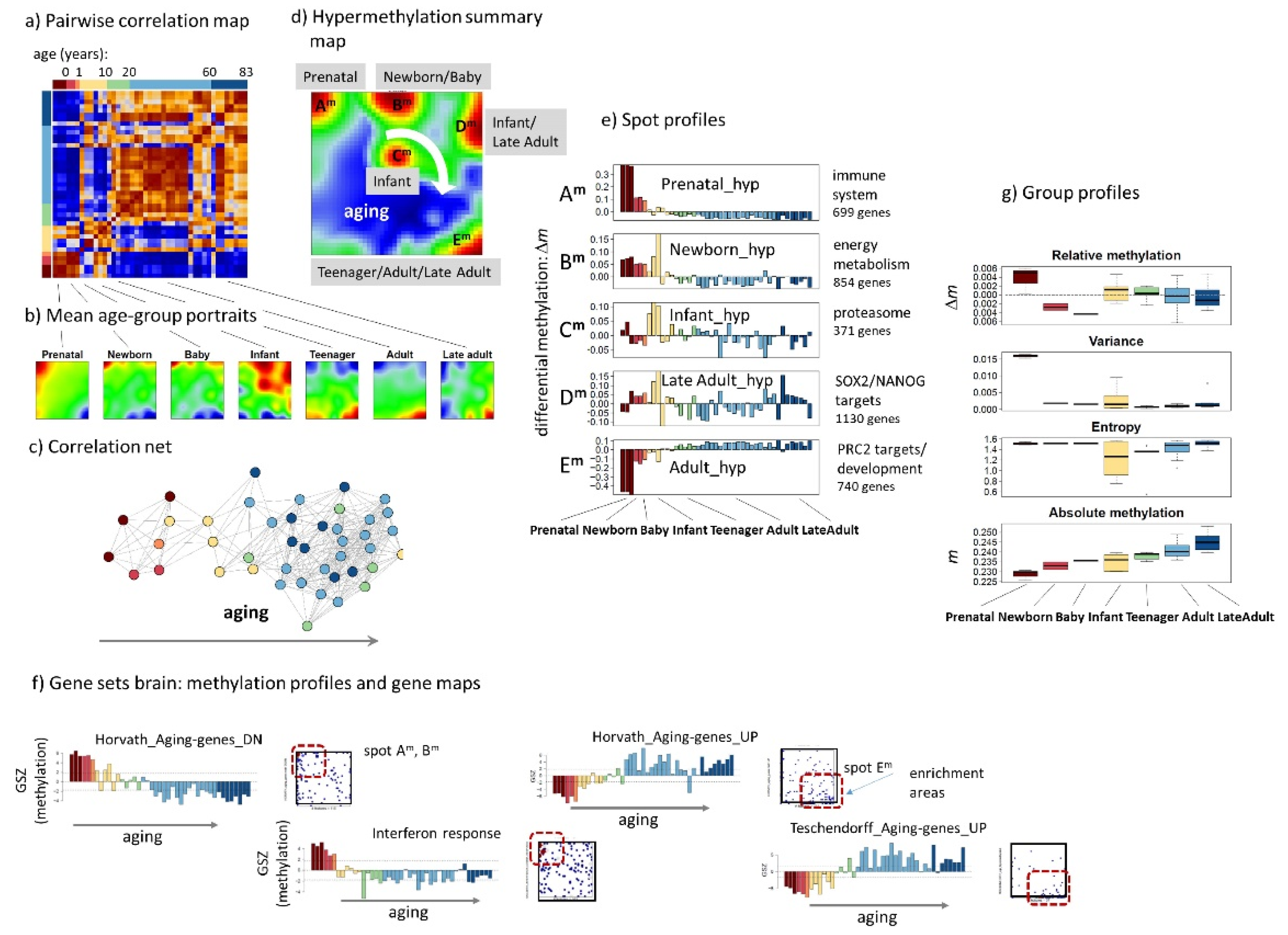 Cells 11 00362 g003 550