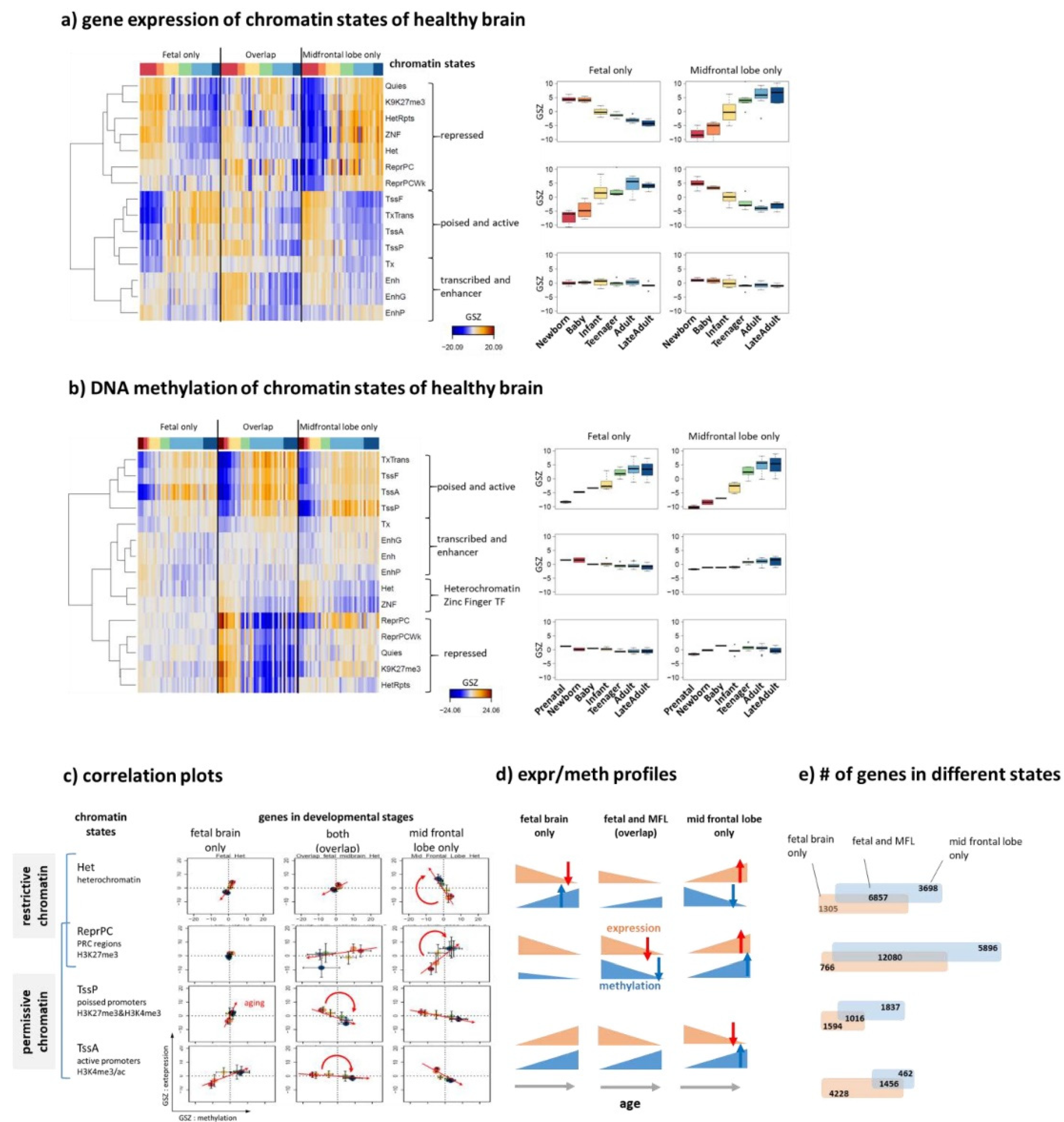 Cells 11 00362 g007 550
