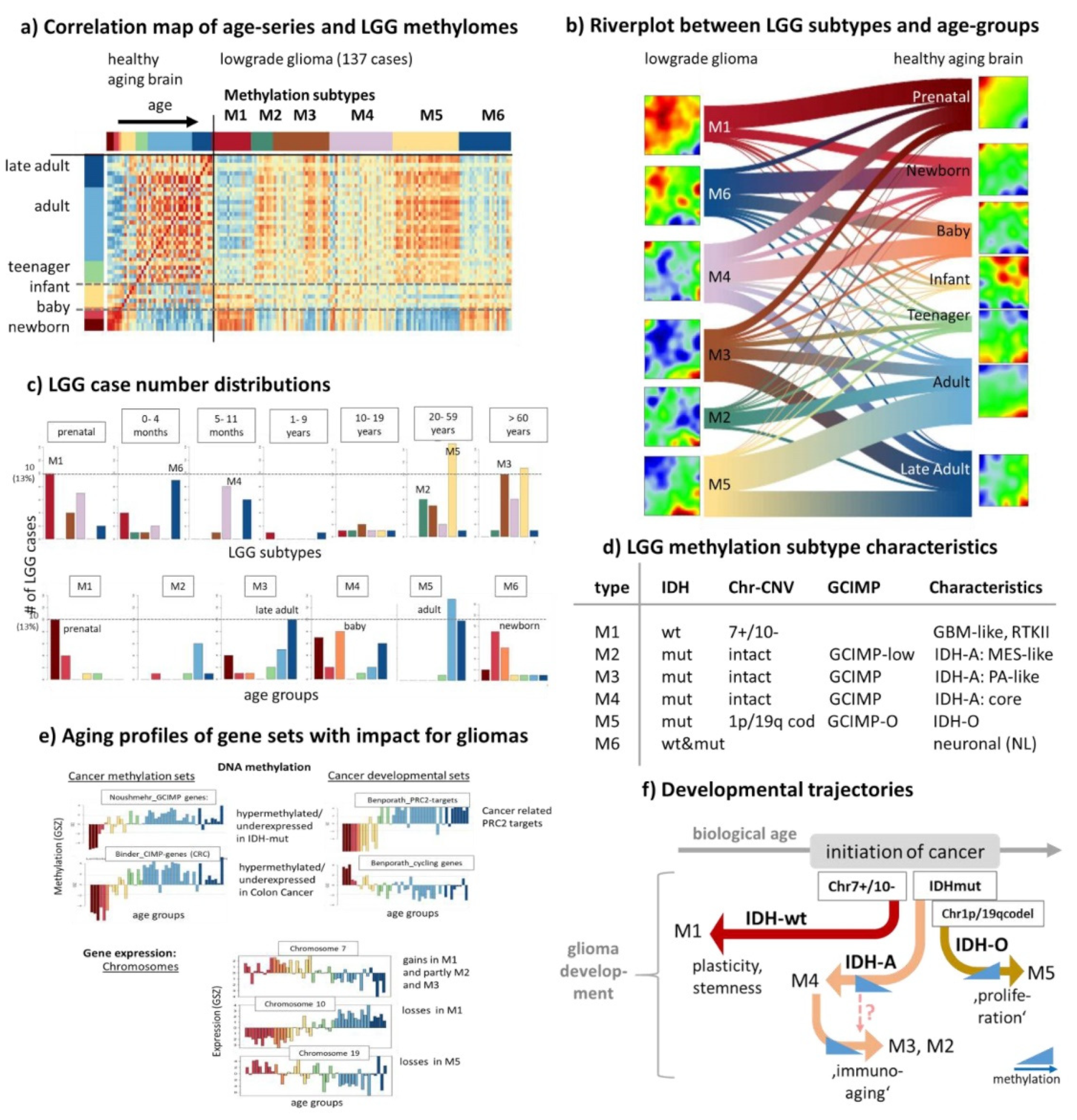 Cells 11 00362 g008 550