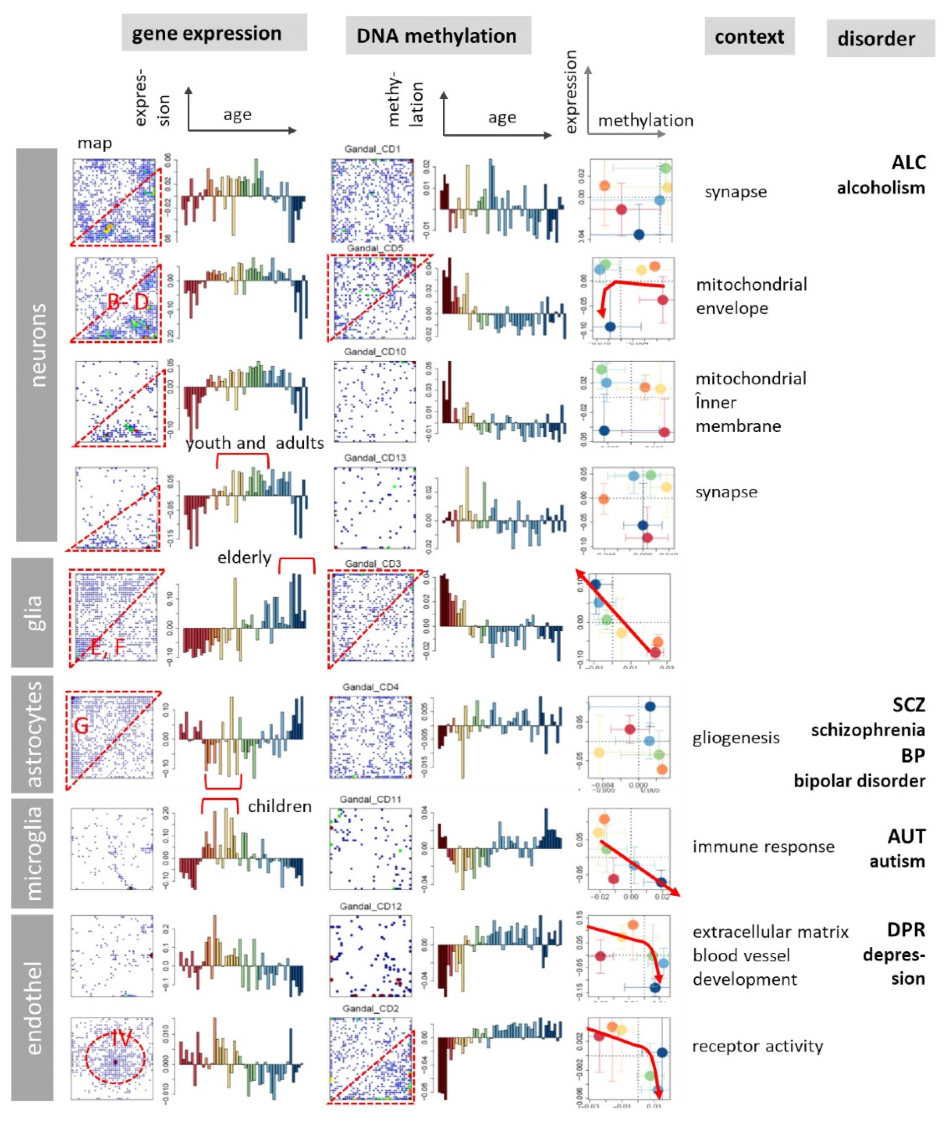 Cells 11 00362 g009 550