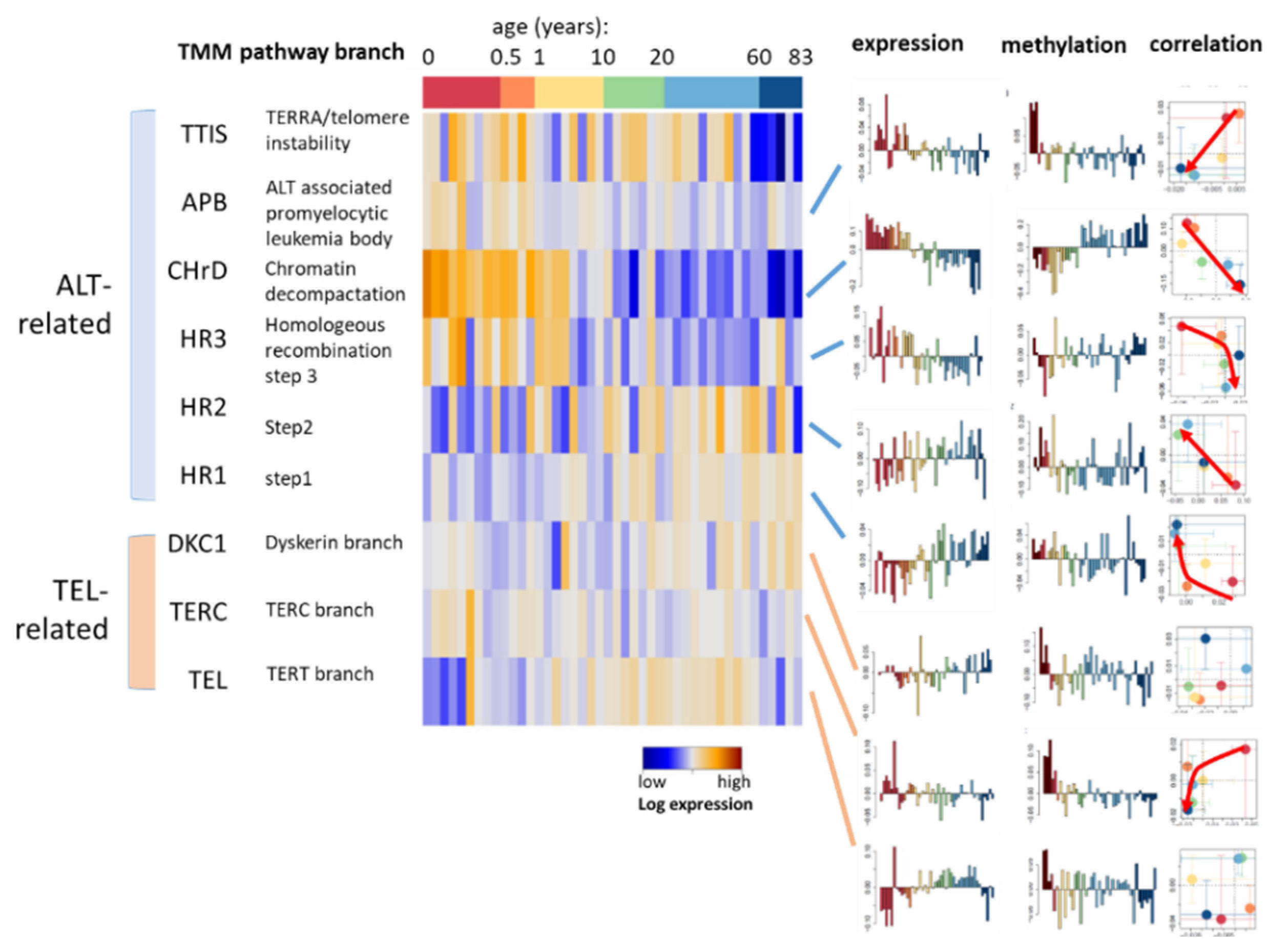 Cells 11 00362 g0a5 550