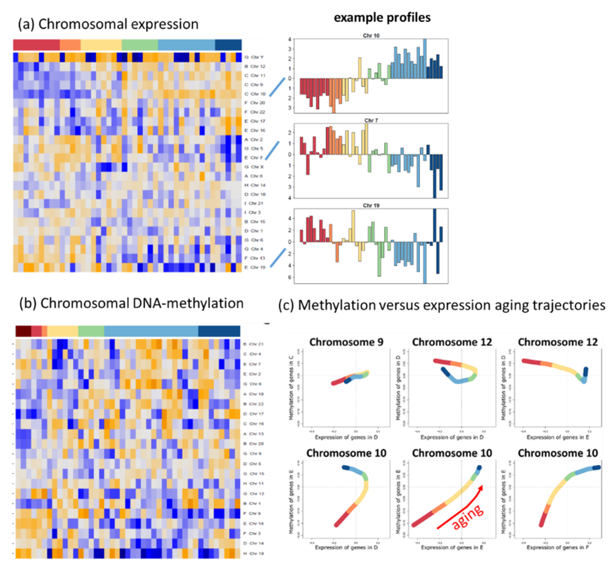 Cells 11 00362 g0a9 550