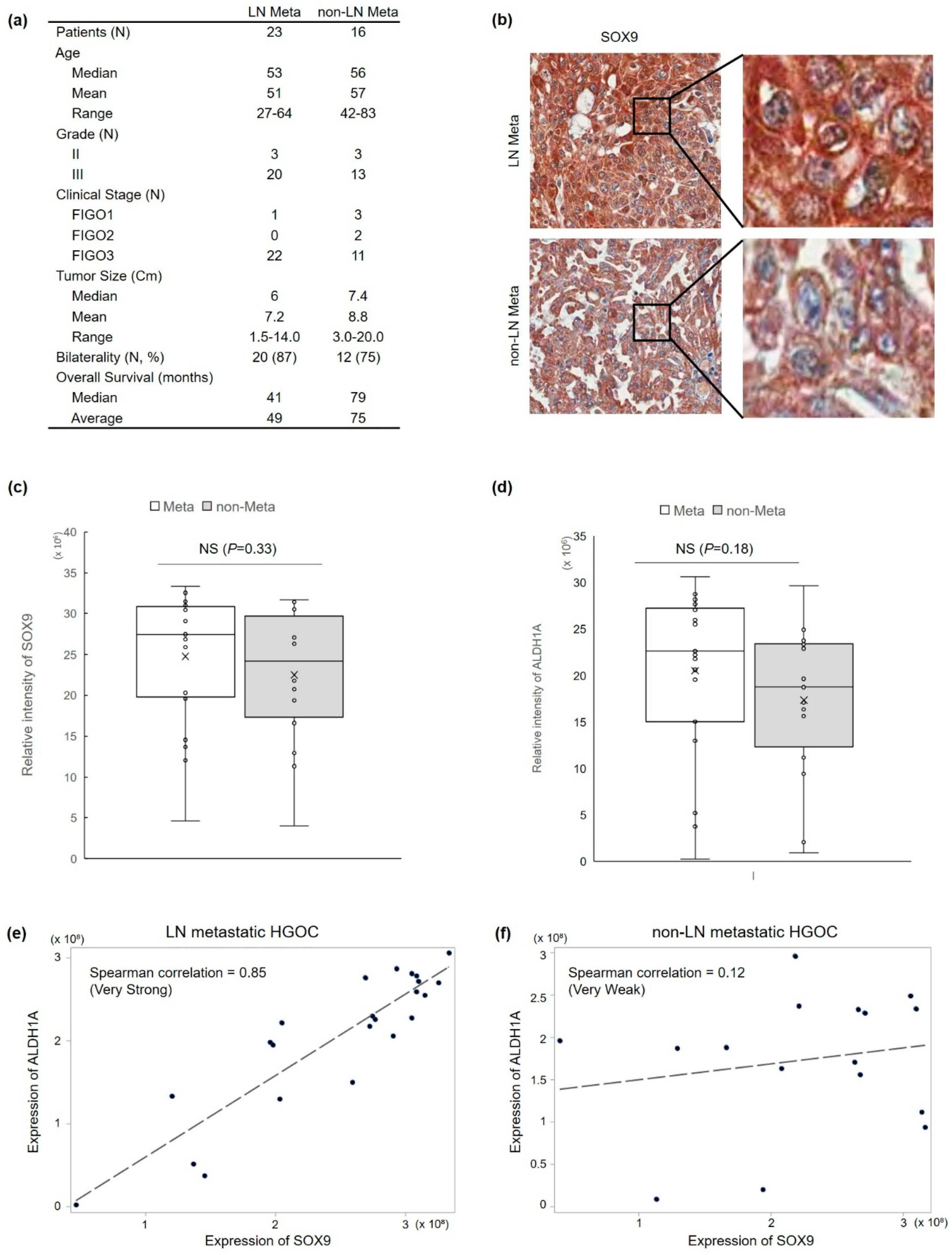 Cells 11 00363 g001 Cells 11 00363 g001
