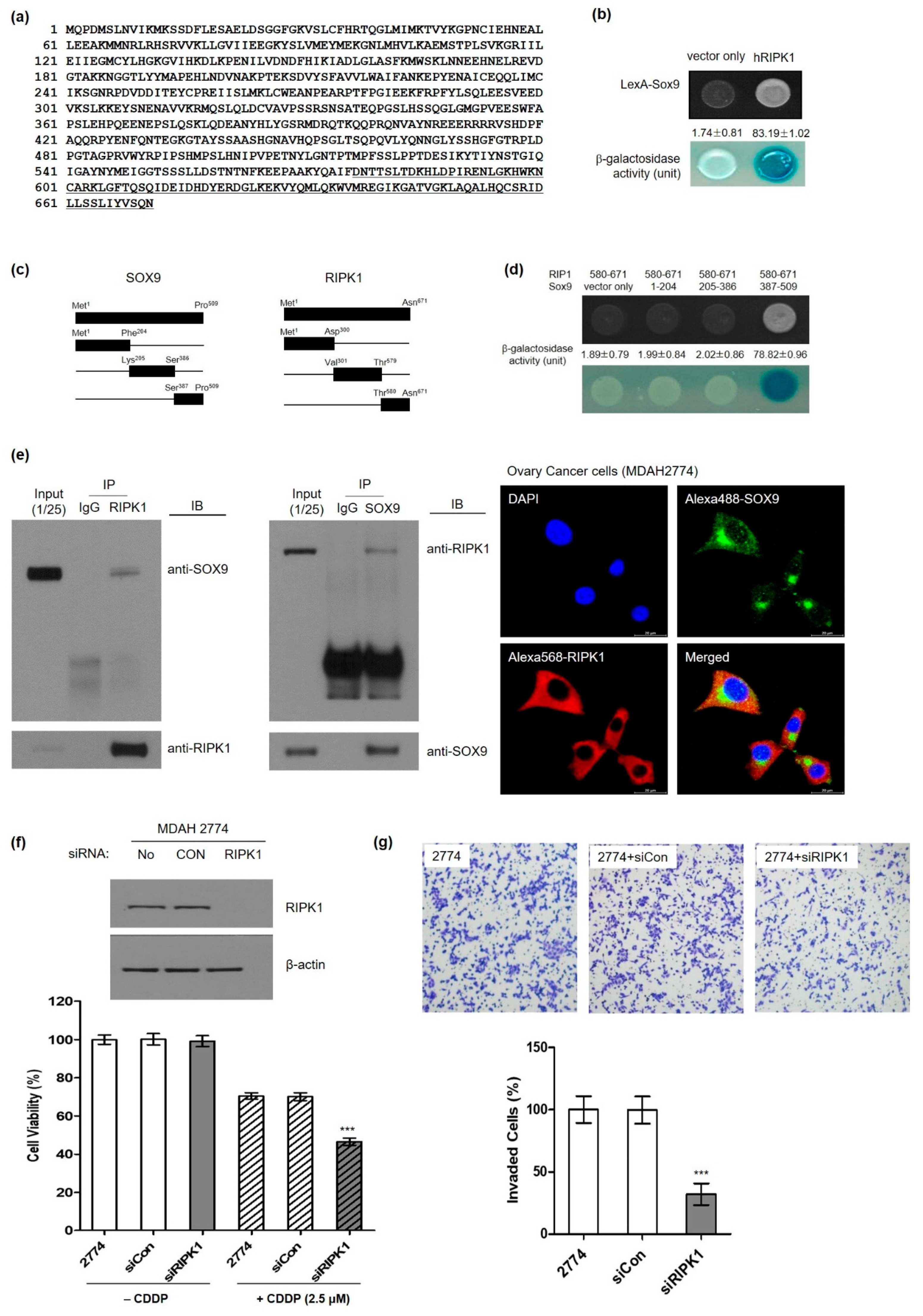 Cells 11 00363 g004 Cells 11 00363 g004