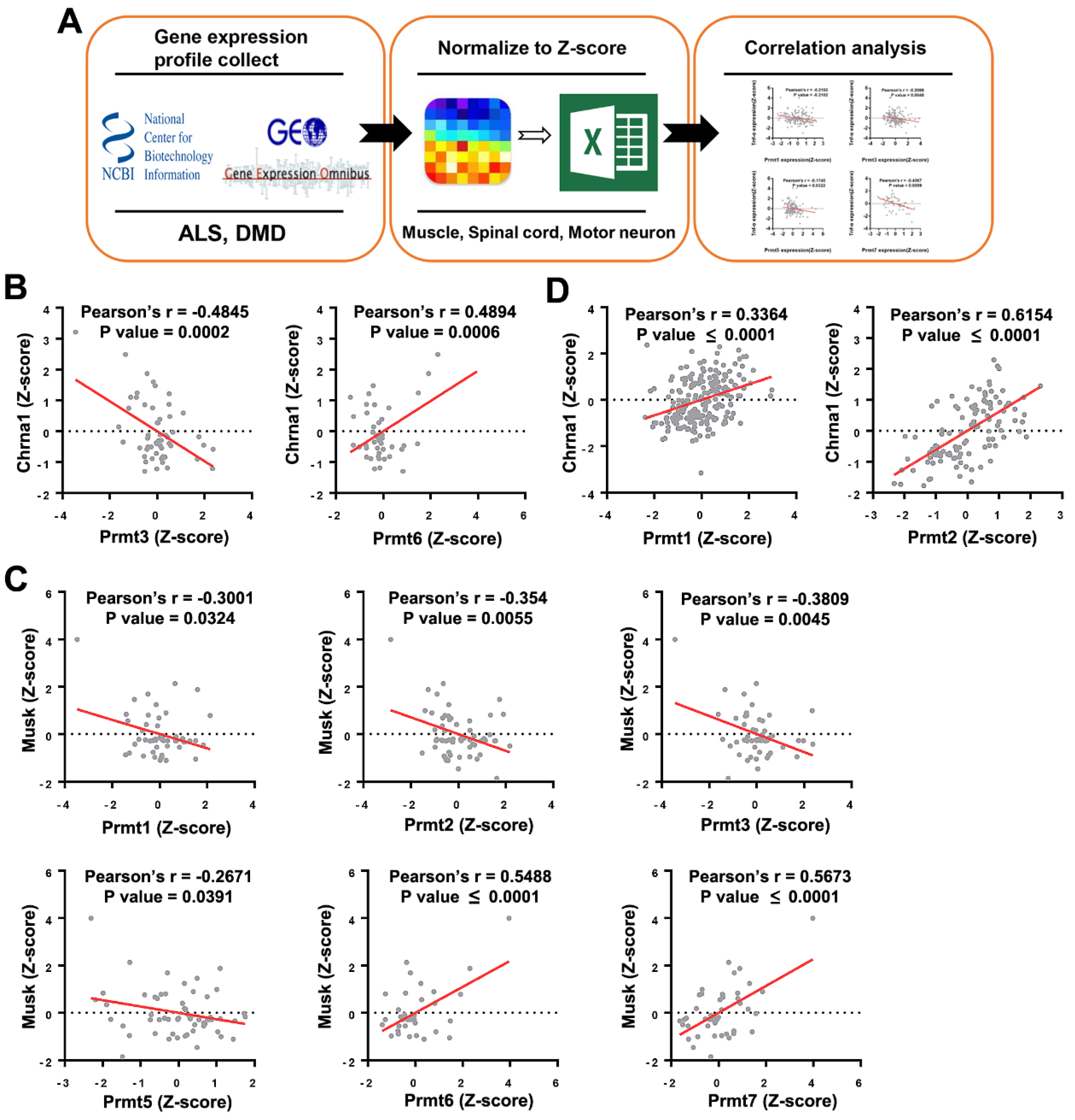 Cells 11 00364 g001 Cells 11 00364 g001