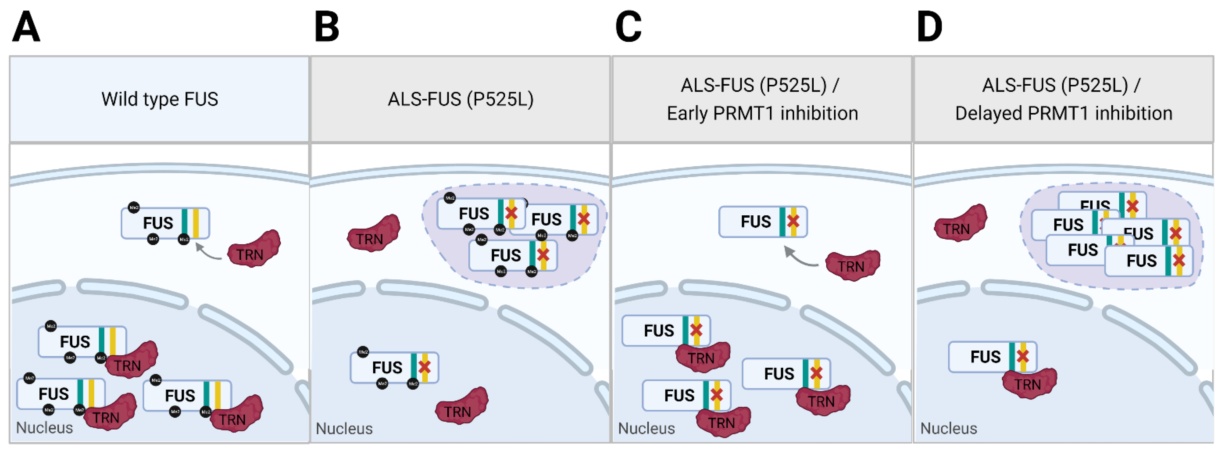 Cells 11 00364 g003 Cells 11 00364 g003
