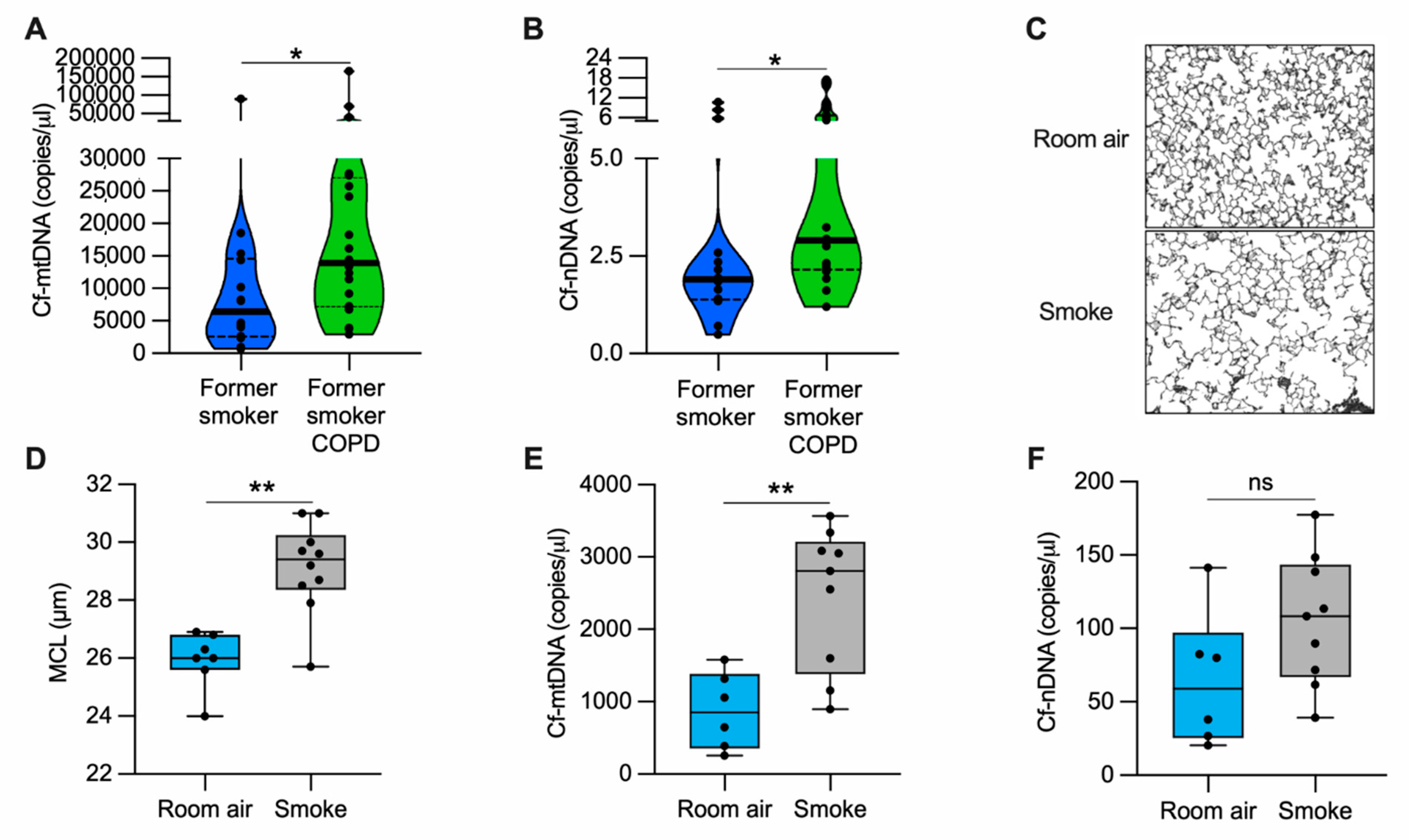 Cells 11 00369 g001 550