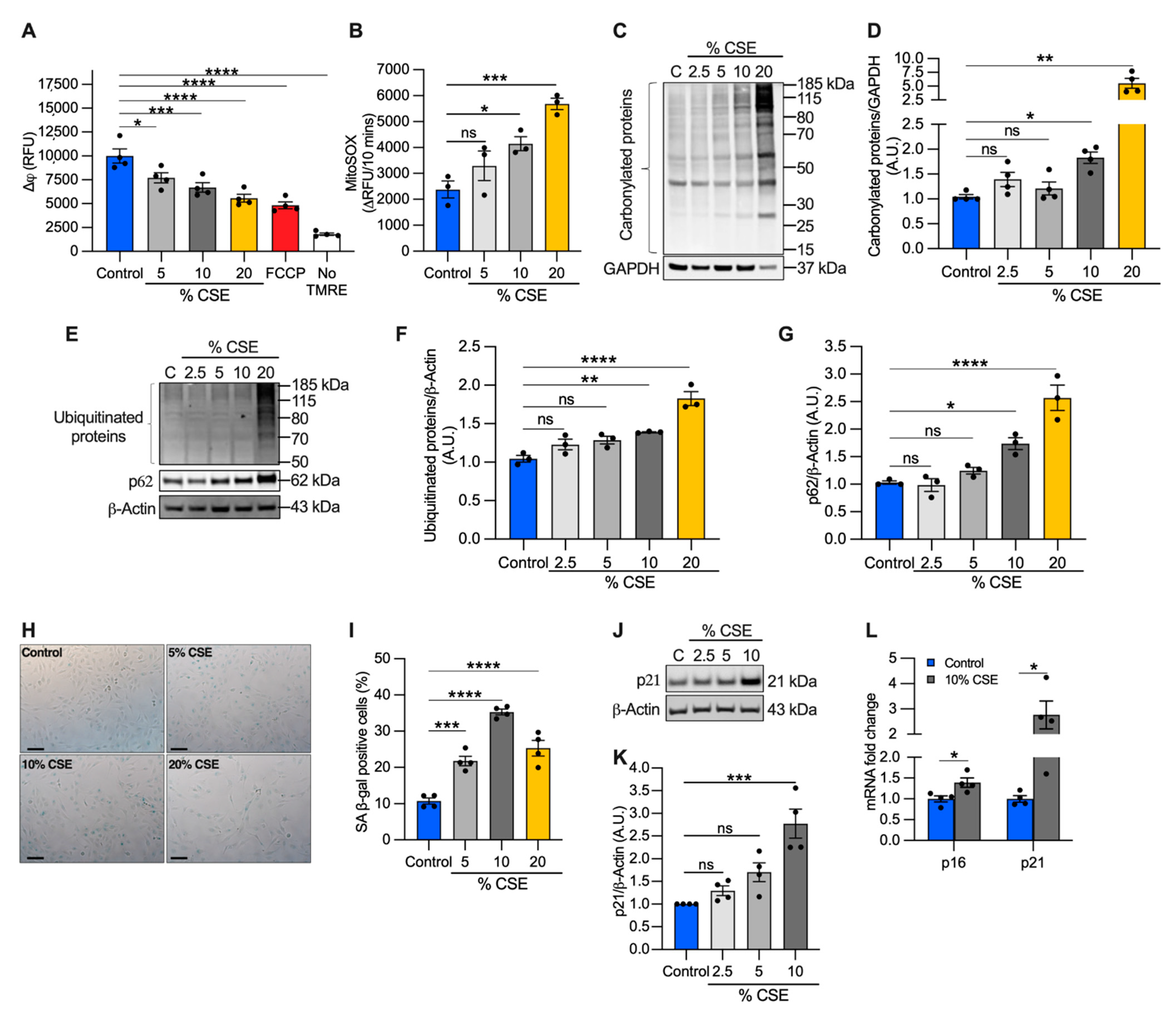 Cells 11 00369 g004 550