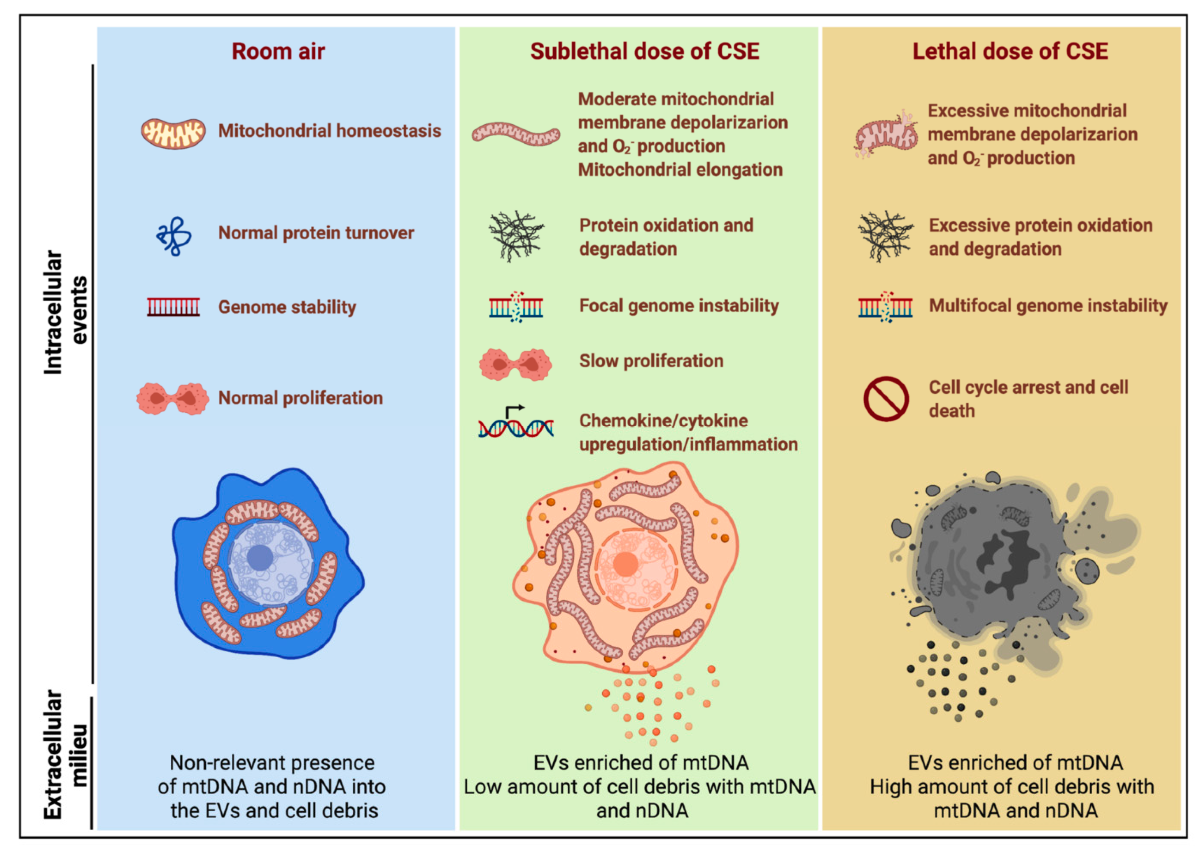 Cells 11 00369 g008 550