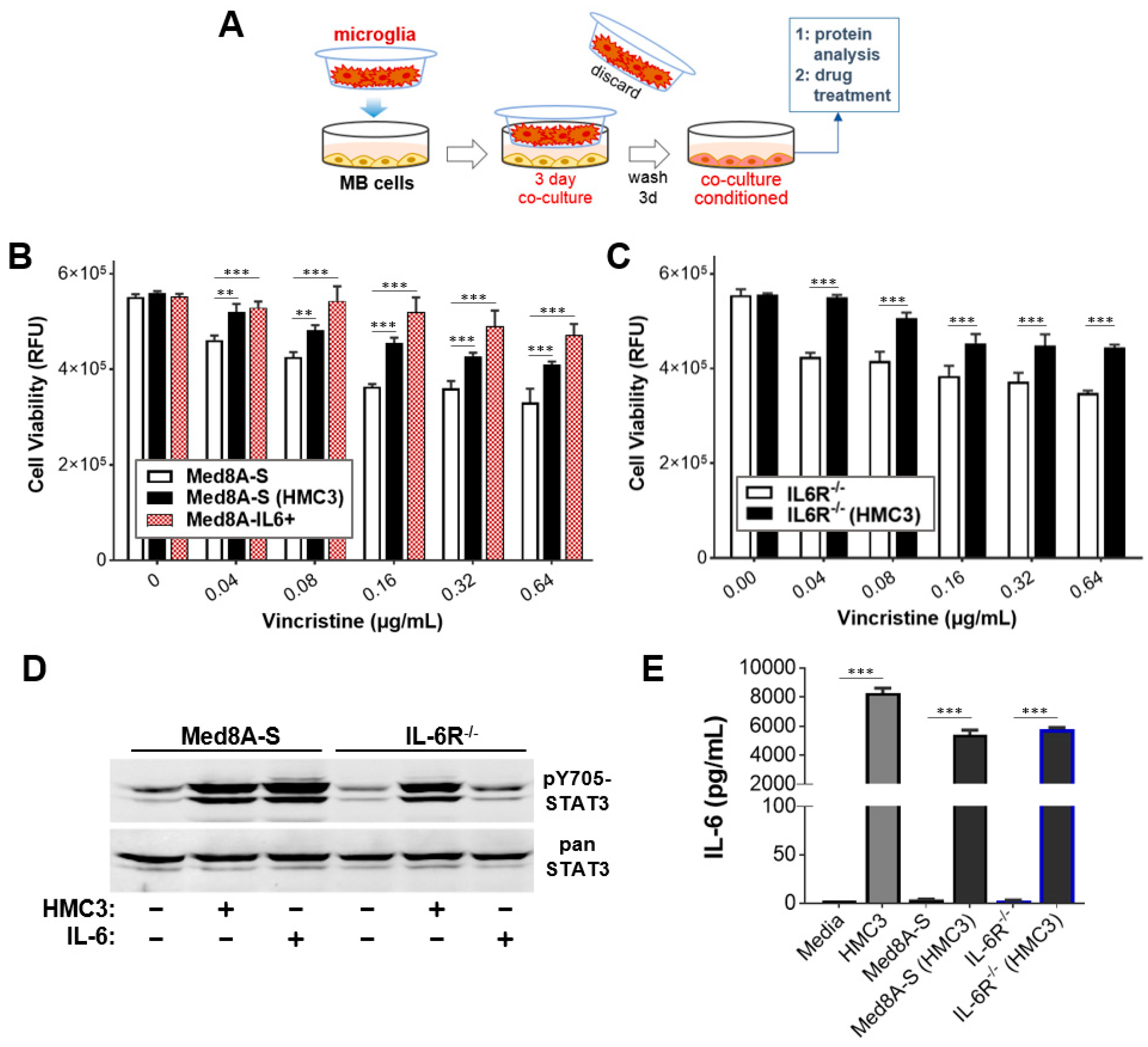 Cells 11 00381 g001 550