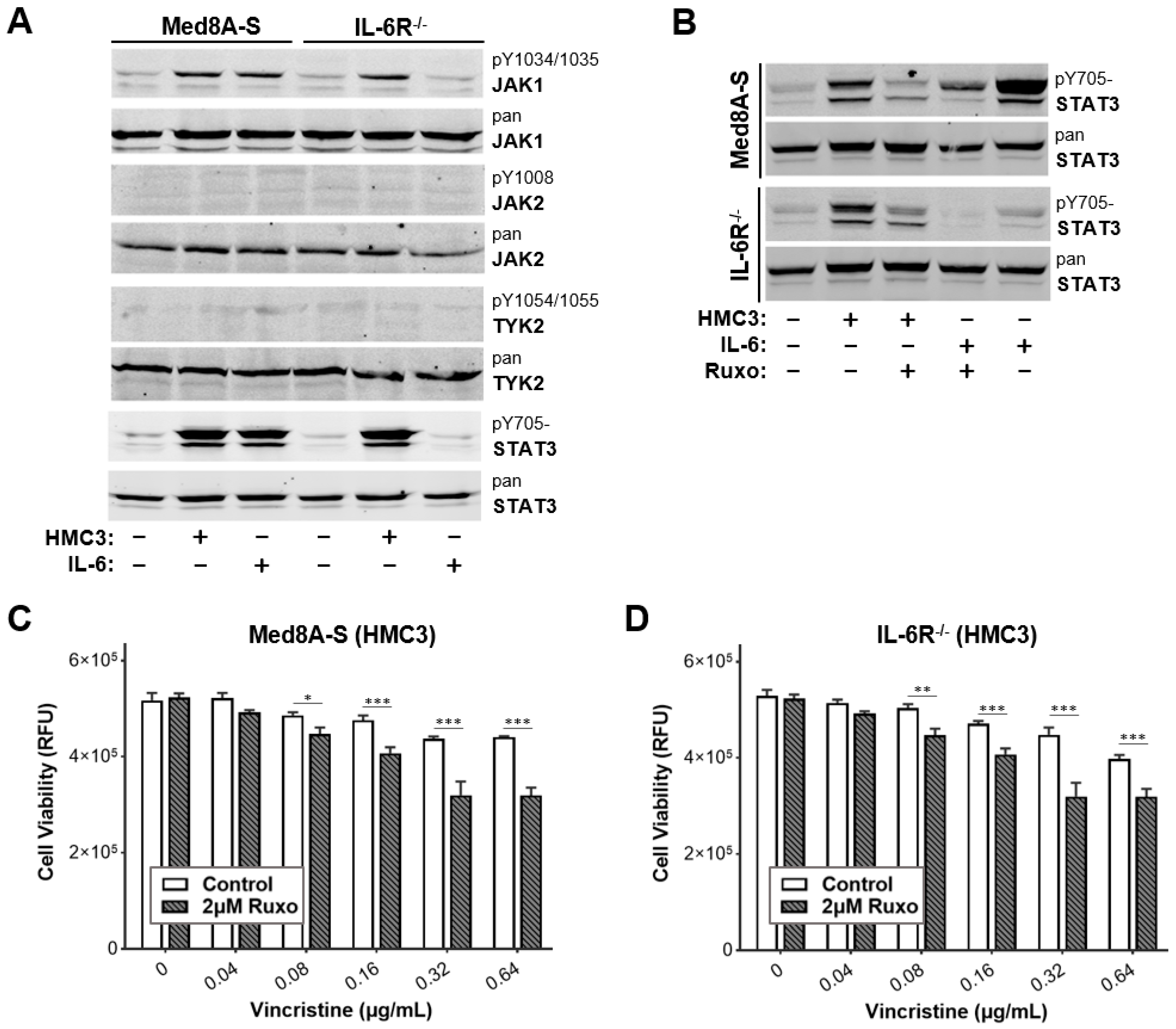 Cells 11 00381 g002 550