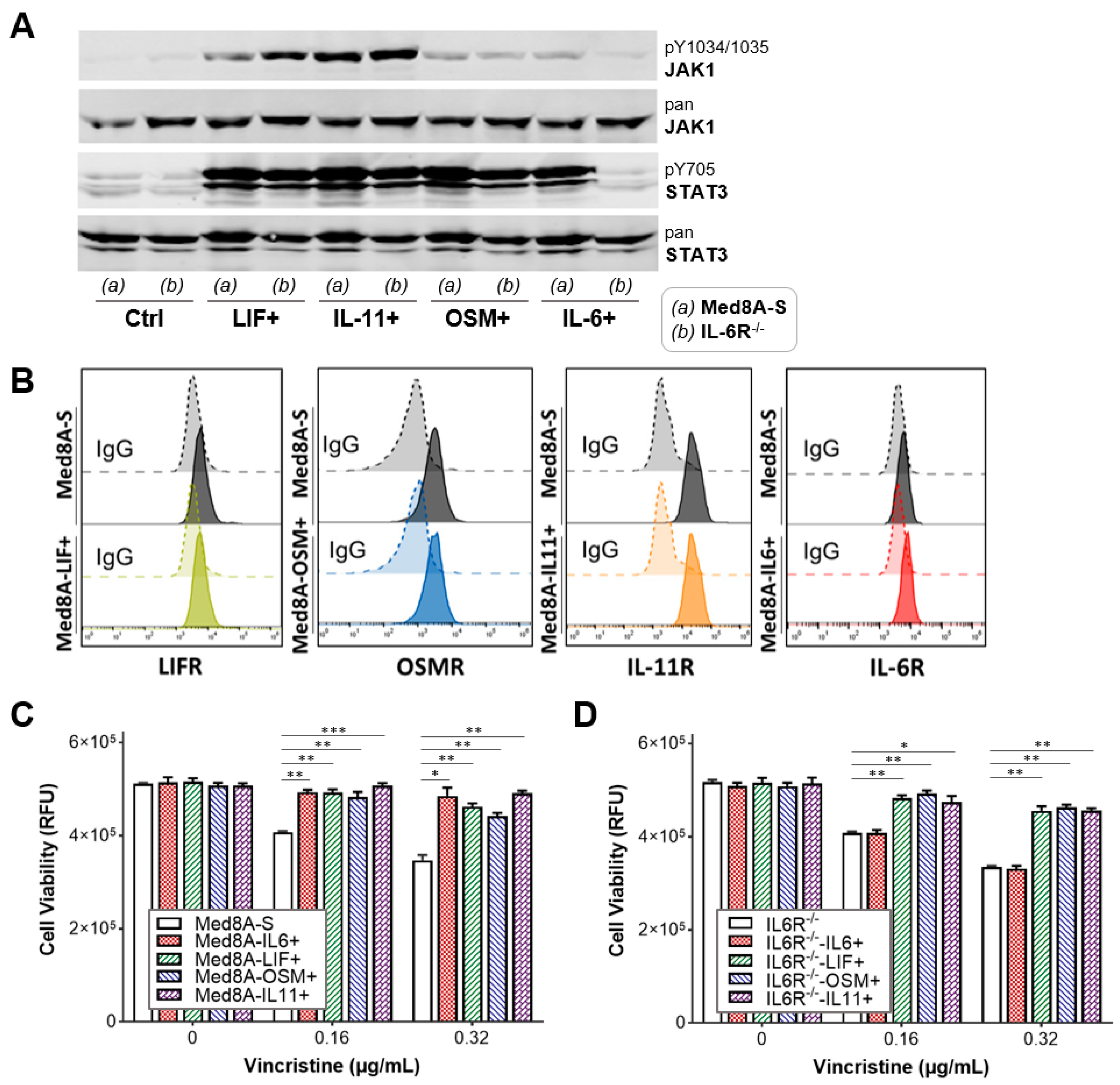 Cells 11 00381 g003 550