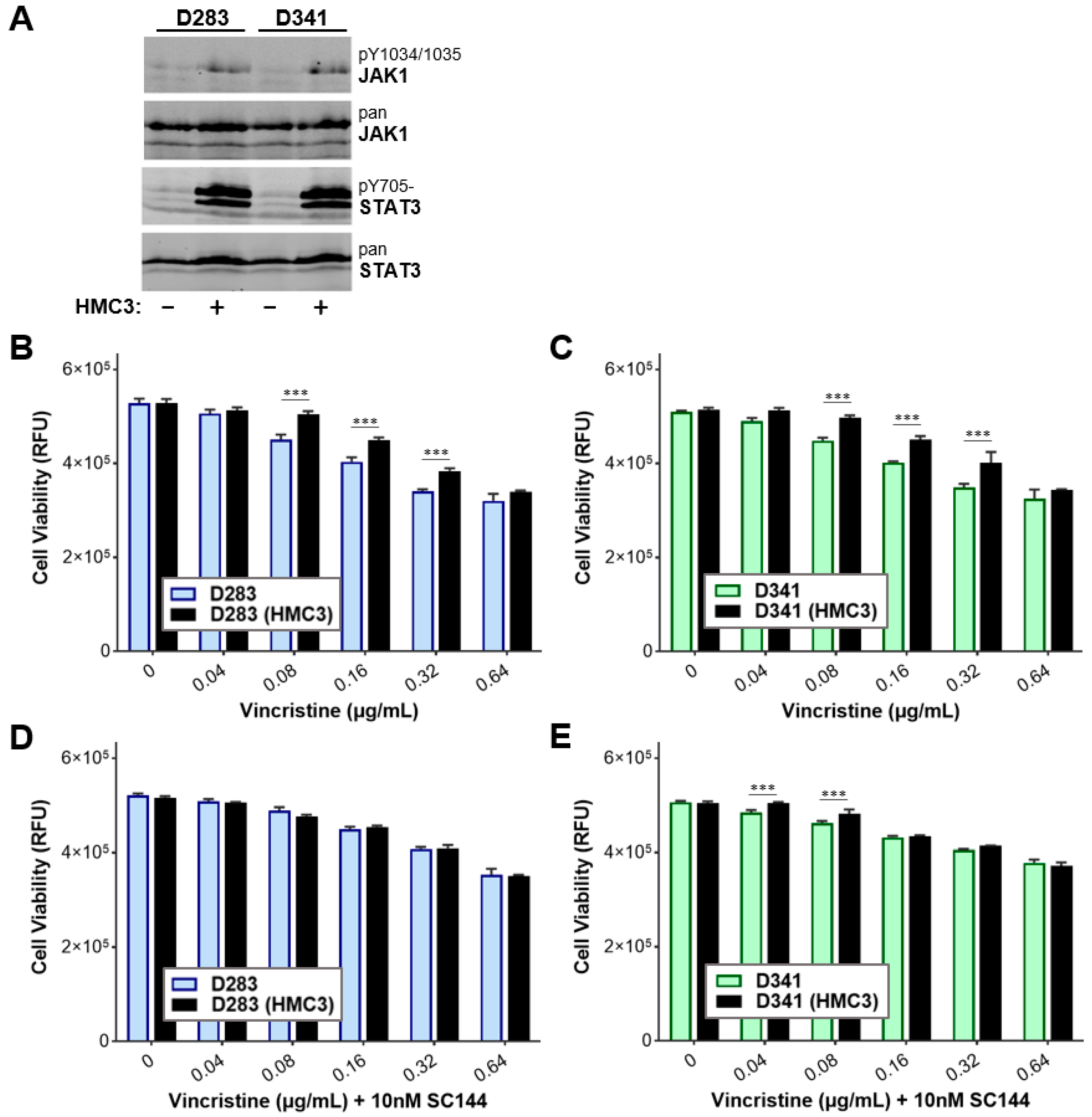 Cells 11 00381 g009 550