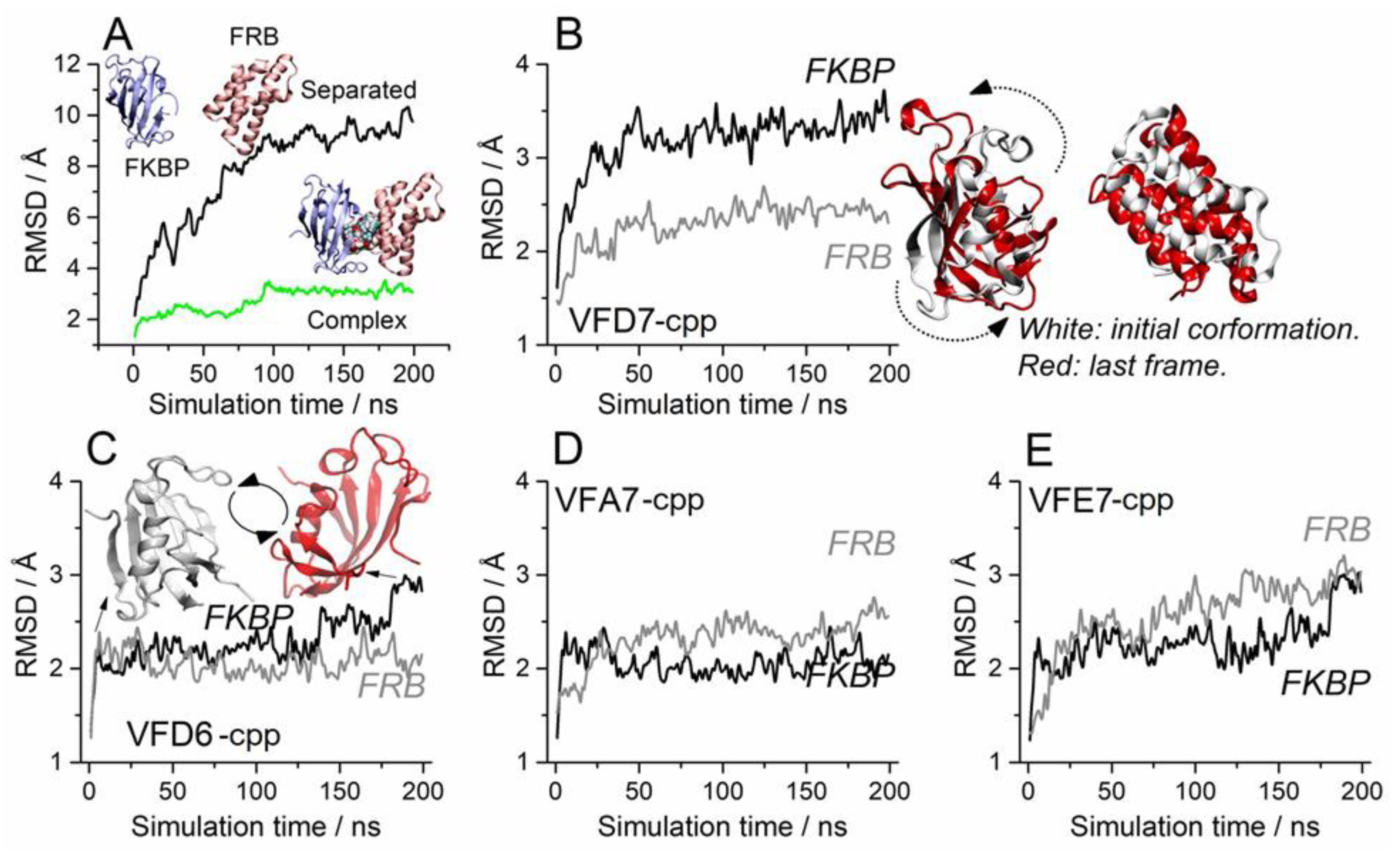 Cells 11 00385 g005 550