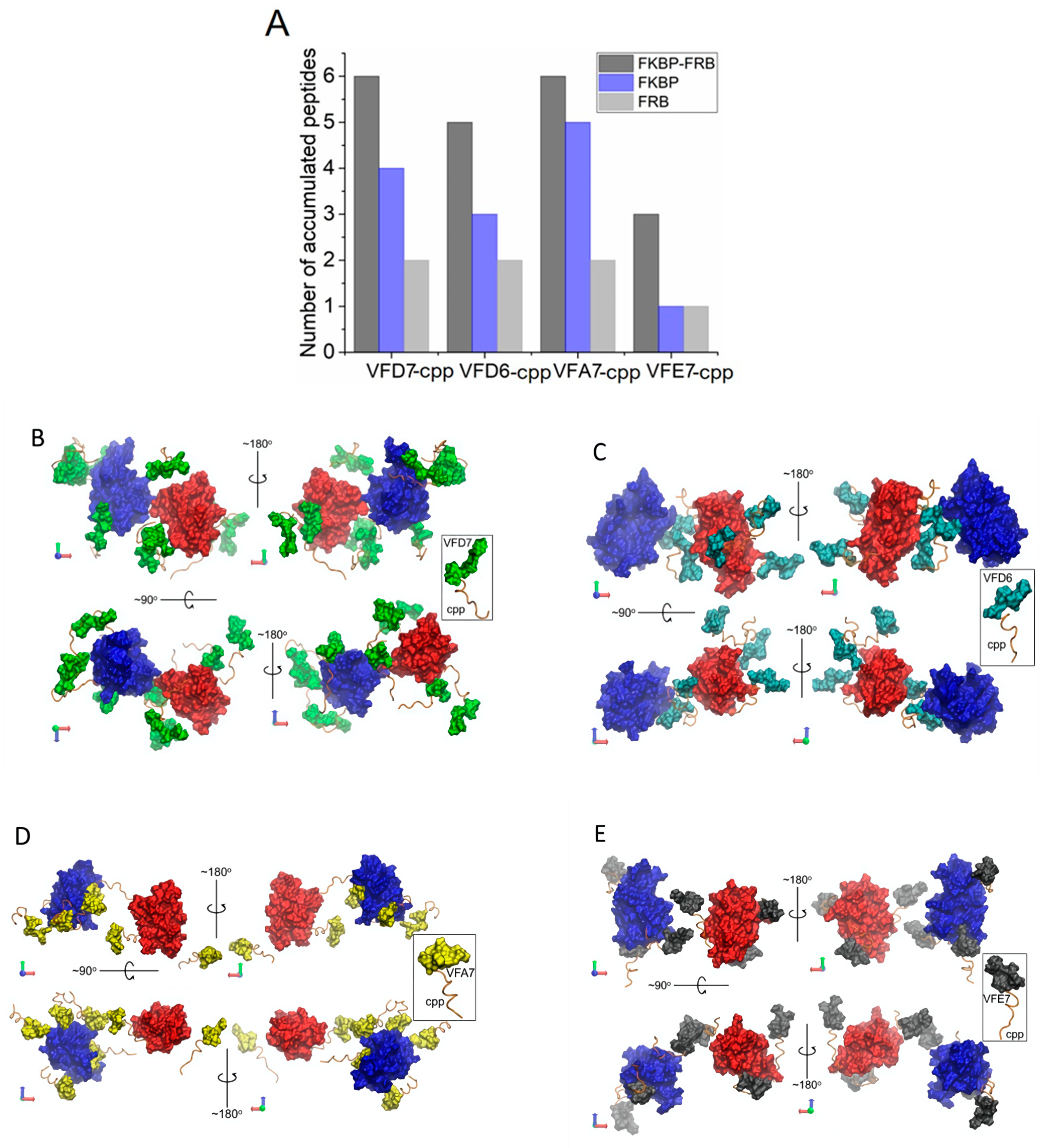Cells 11 00385 g007 550