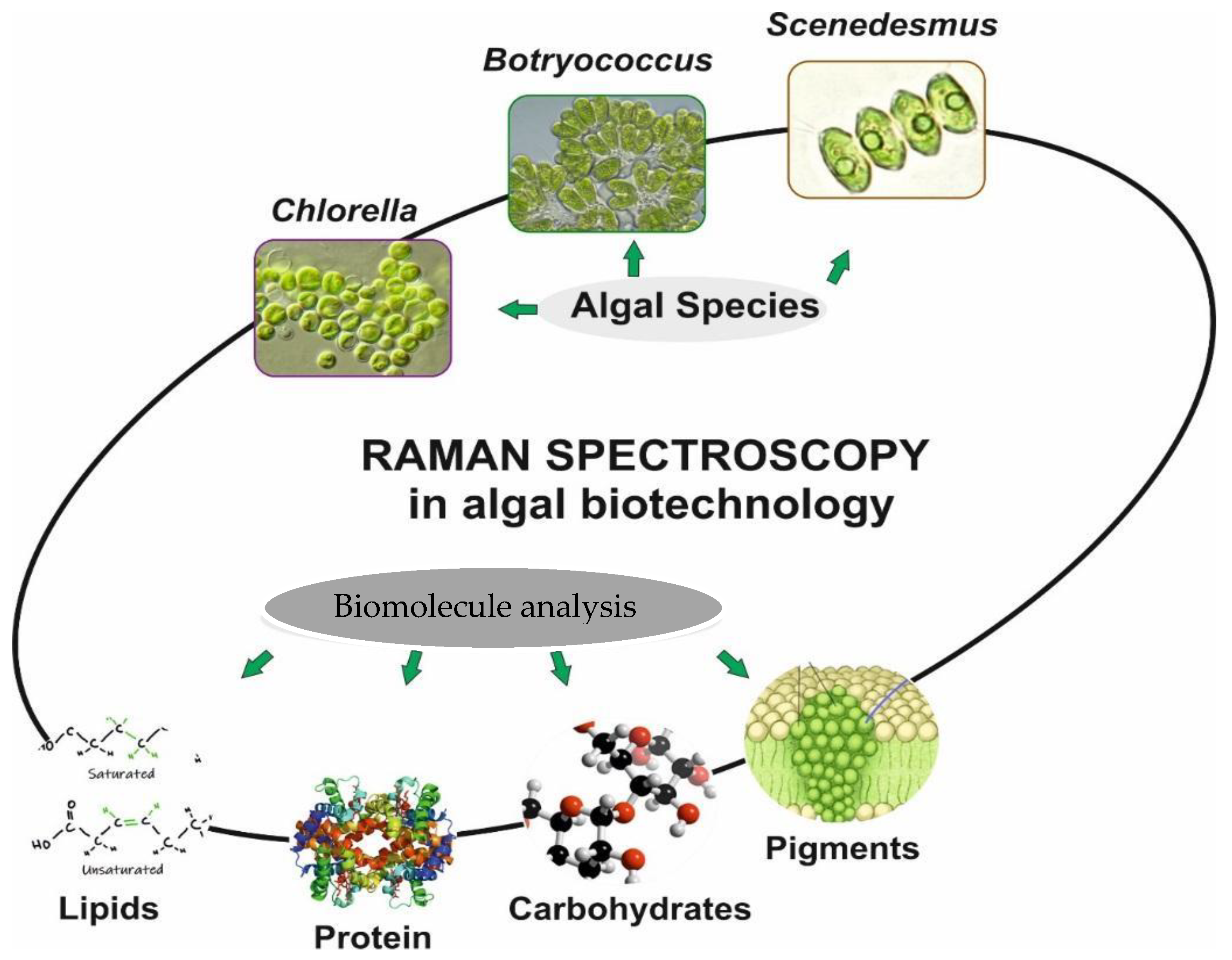 Cells 11 00386 g005 Cells 11 00386 g005