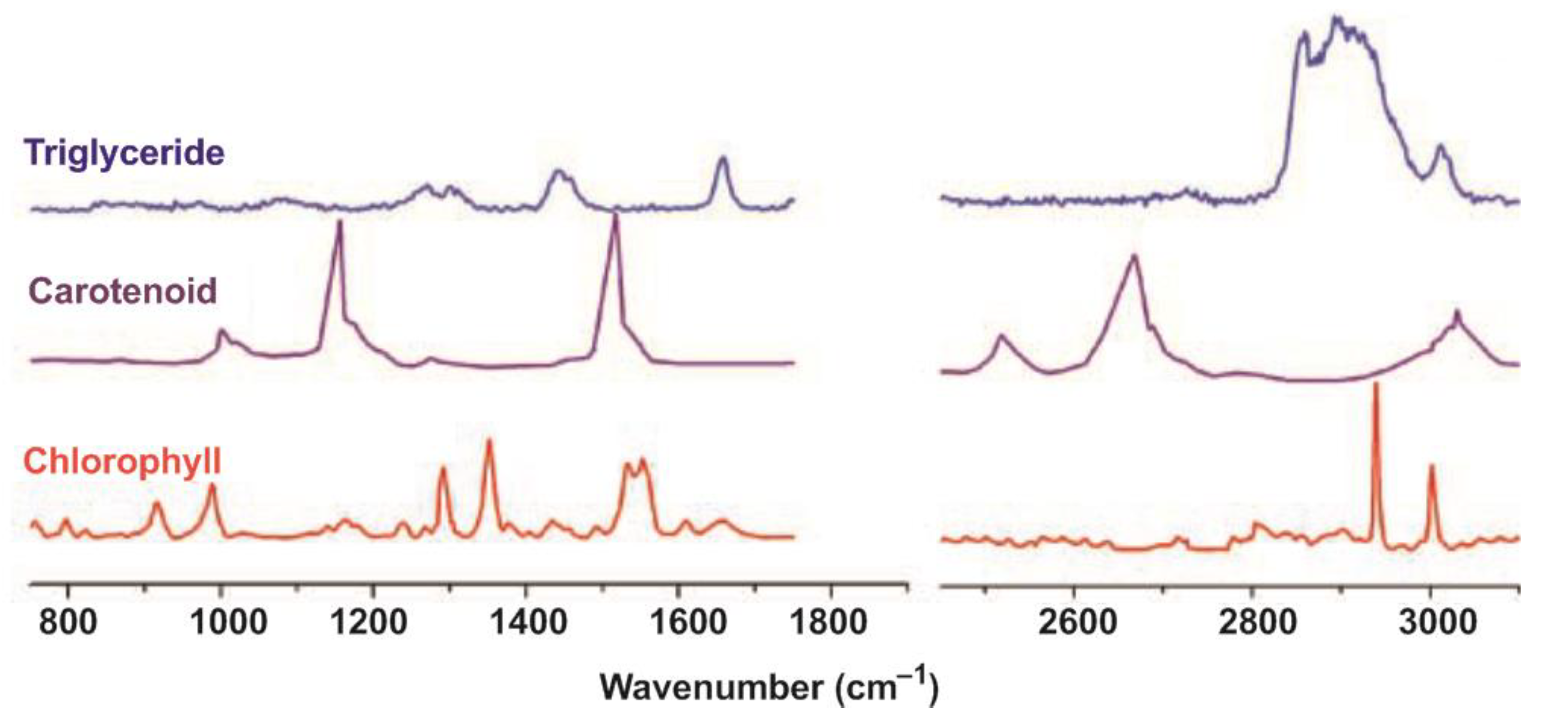 Cells 11 00386 g008 Cells 11 00386 g008