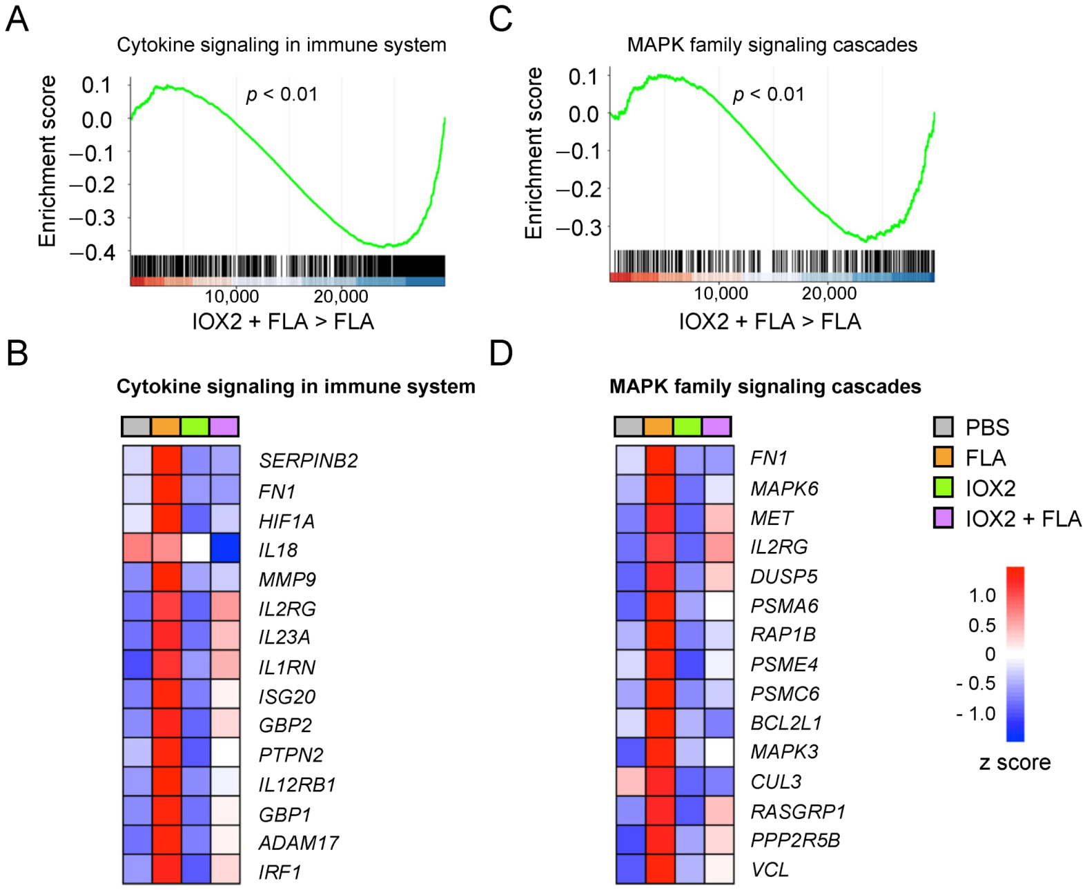Cells 11 00391 g003 550