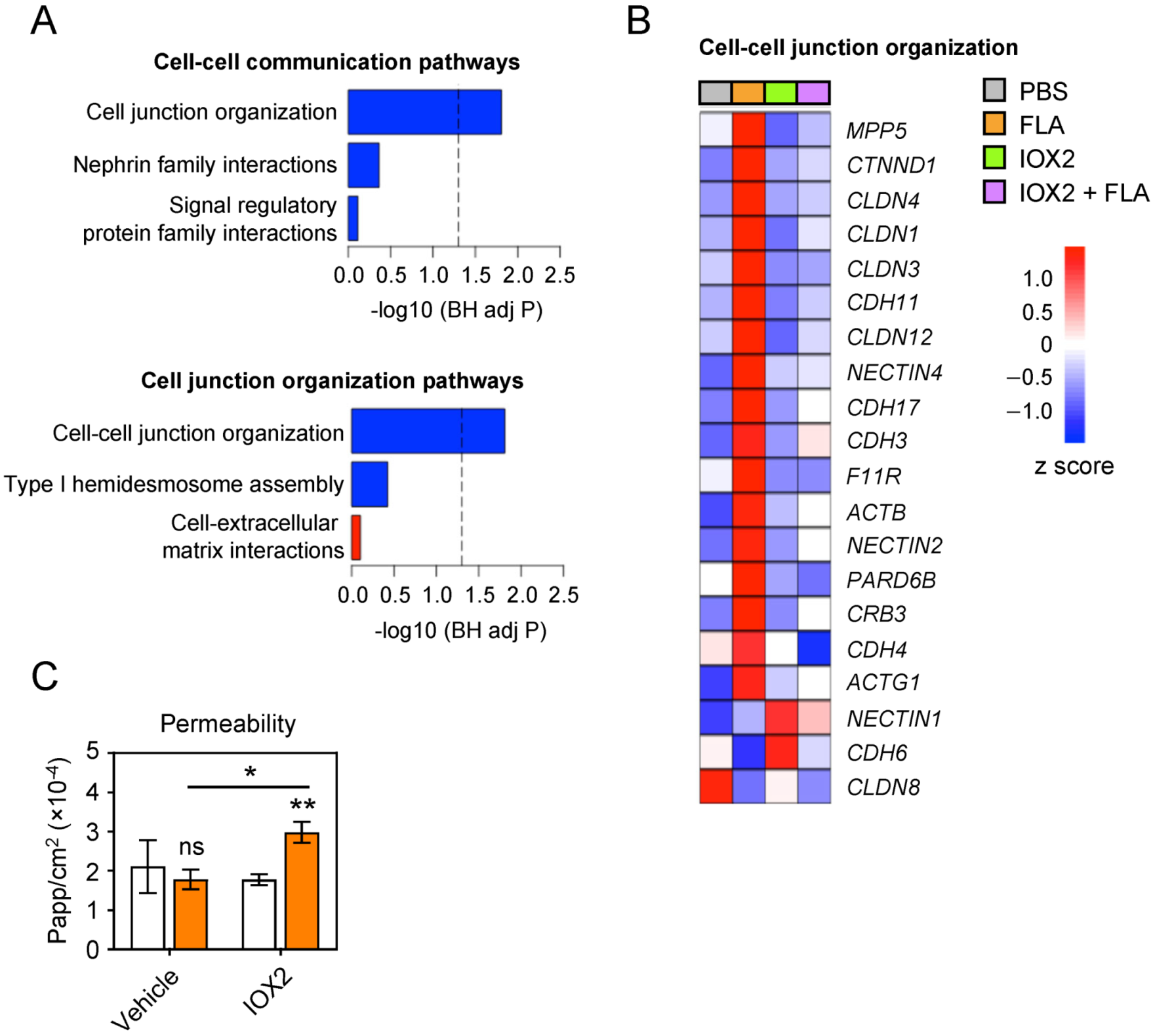 Cells 11 00391 g004 550