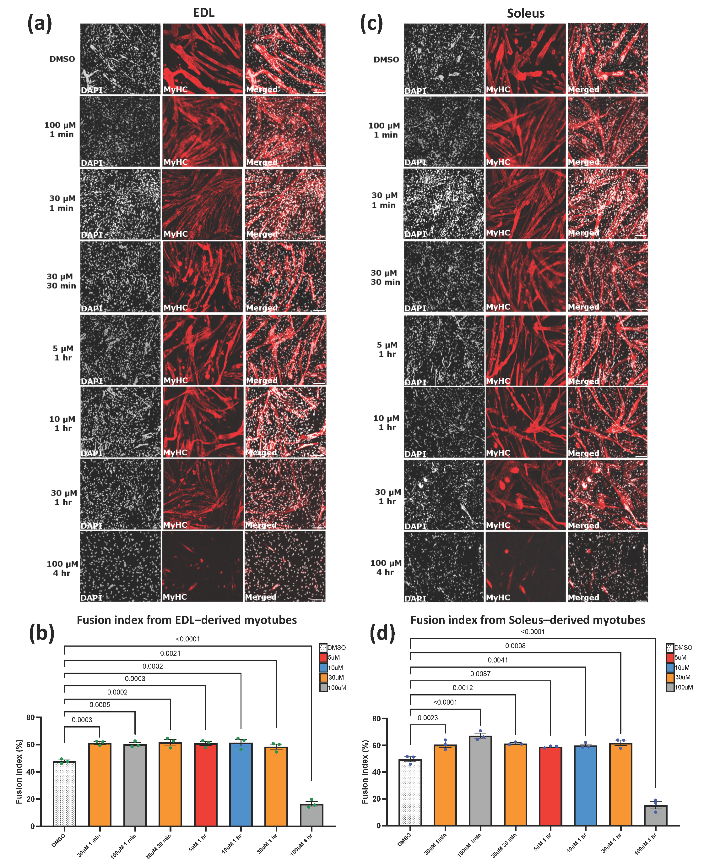 Cells 11 00393 g004a