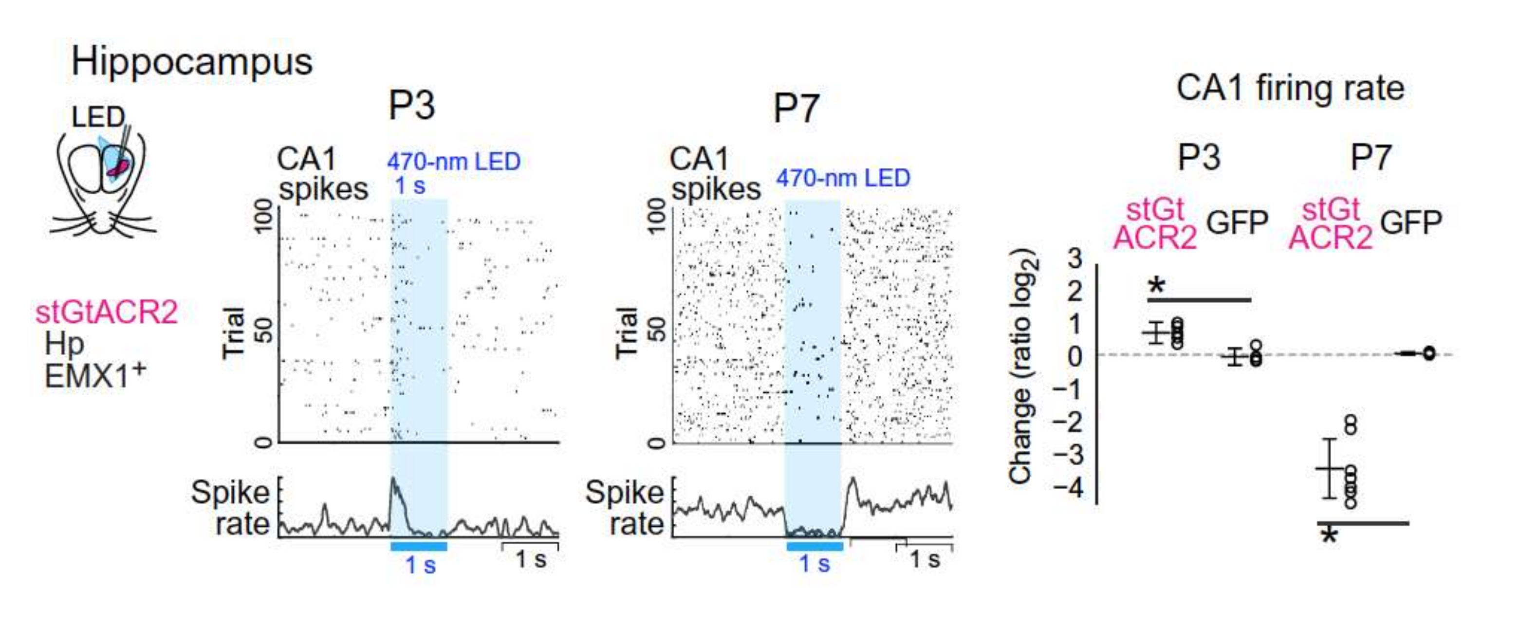 Cells 11 00396 g002 Cells 11 00396 g002