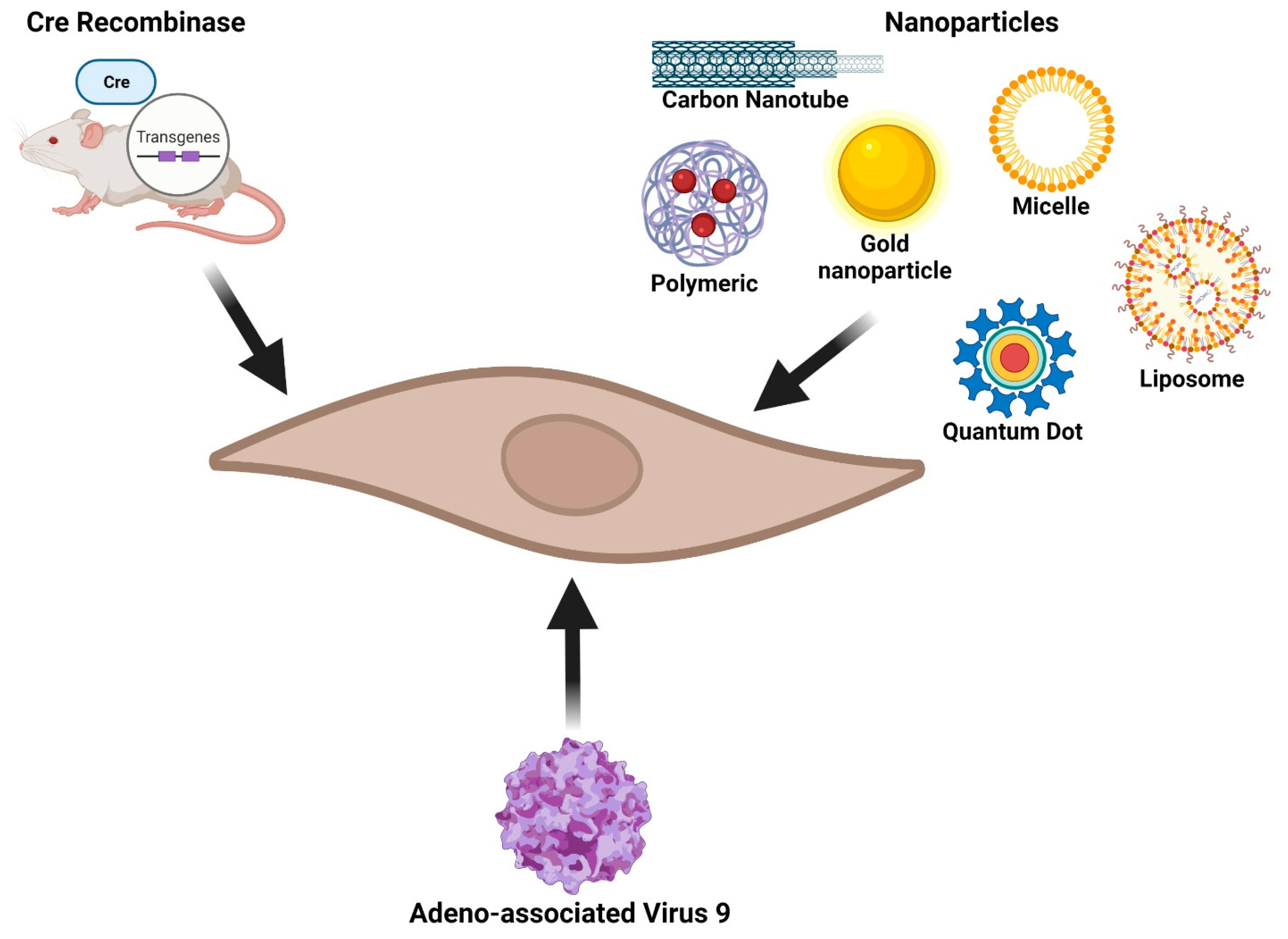 Cells 11 00402 g002 Cells 11 00402 g002