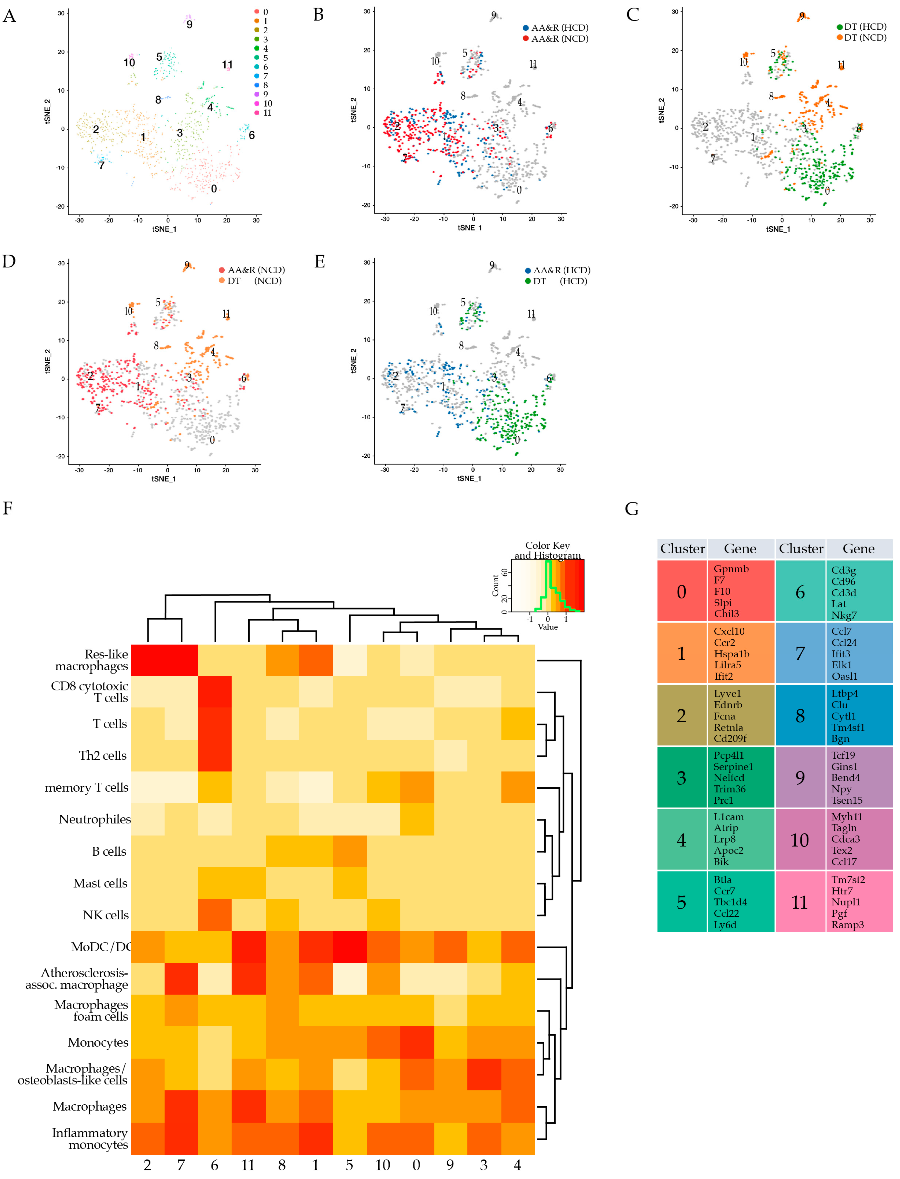 Cells 11 00411 g002 Cells 11 00411 g002