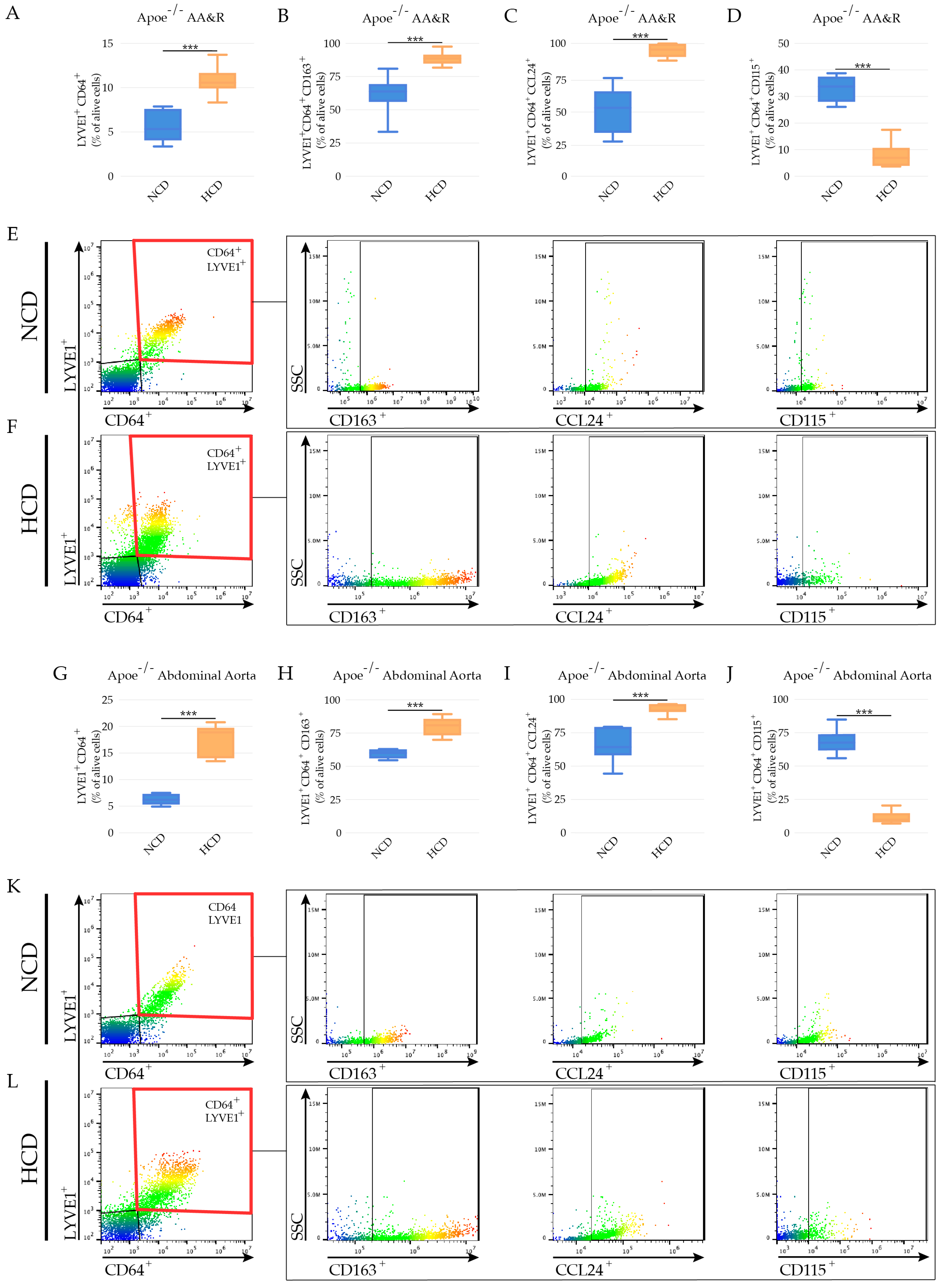 Cells 11 00411 g004 Cells 11 00411 g004