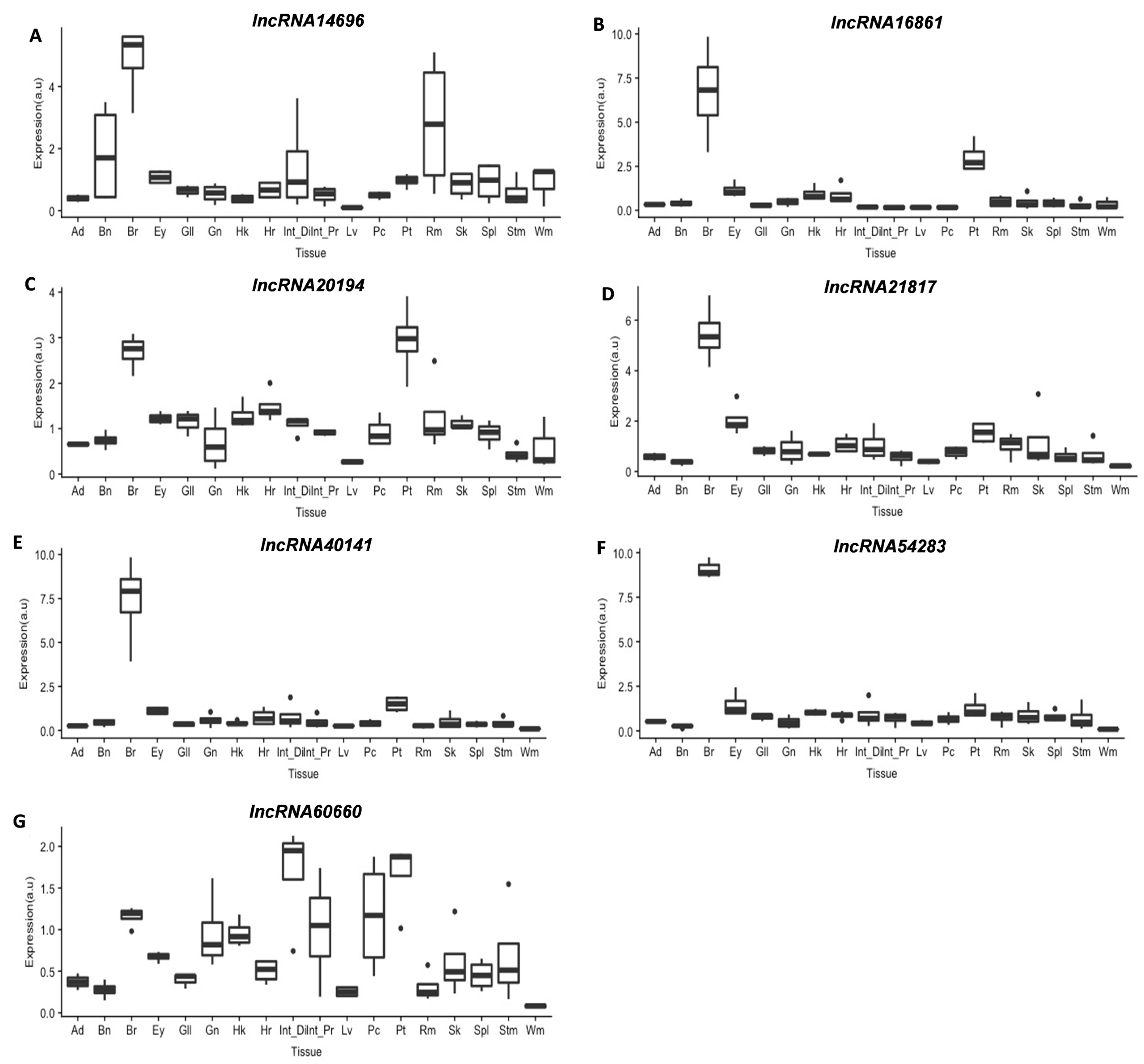 Cells 11 00428 g004 Cells 11 00428 g004